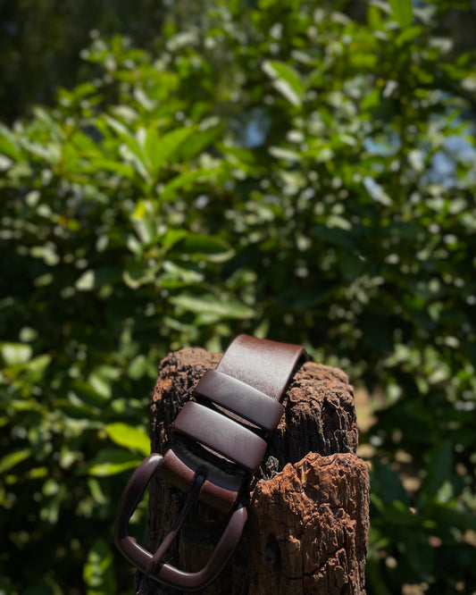 Brown leather belt with silver buckle on a wooden stump against a green leafy background