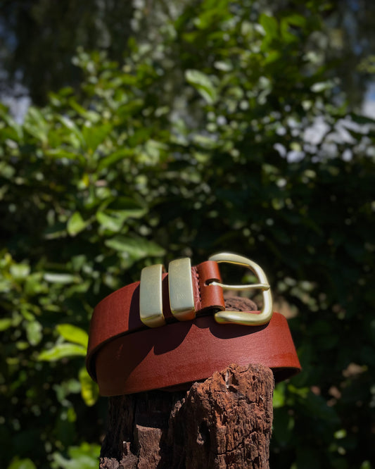 Brown leather belt with gold buckle on a wooden post against a green leafy background