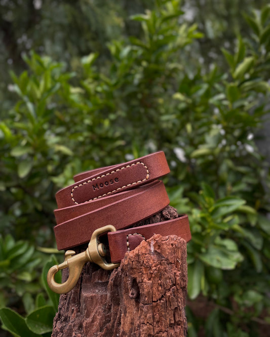 Brown leather dog leash with brass clasp on a wooden post against a green leafy background