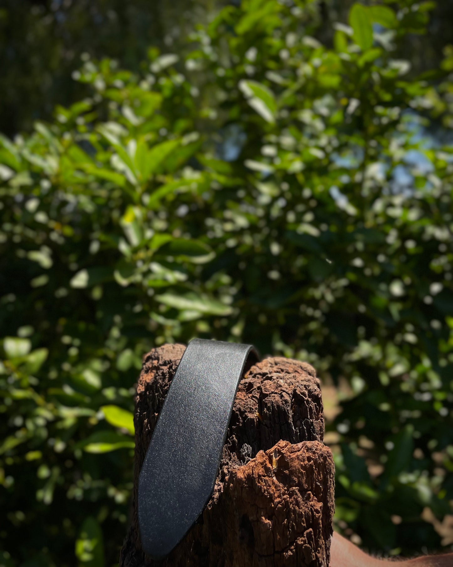 Black leather strap on a wooden post with green foliage in the background