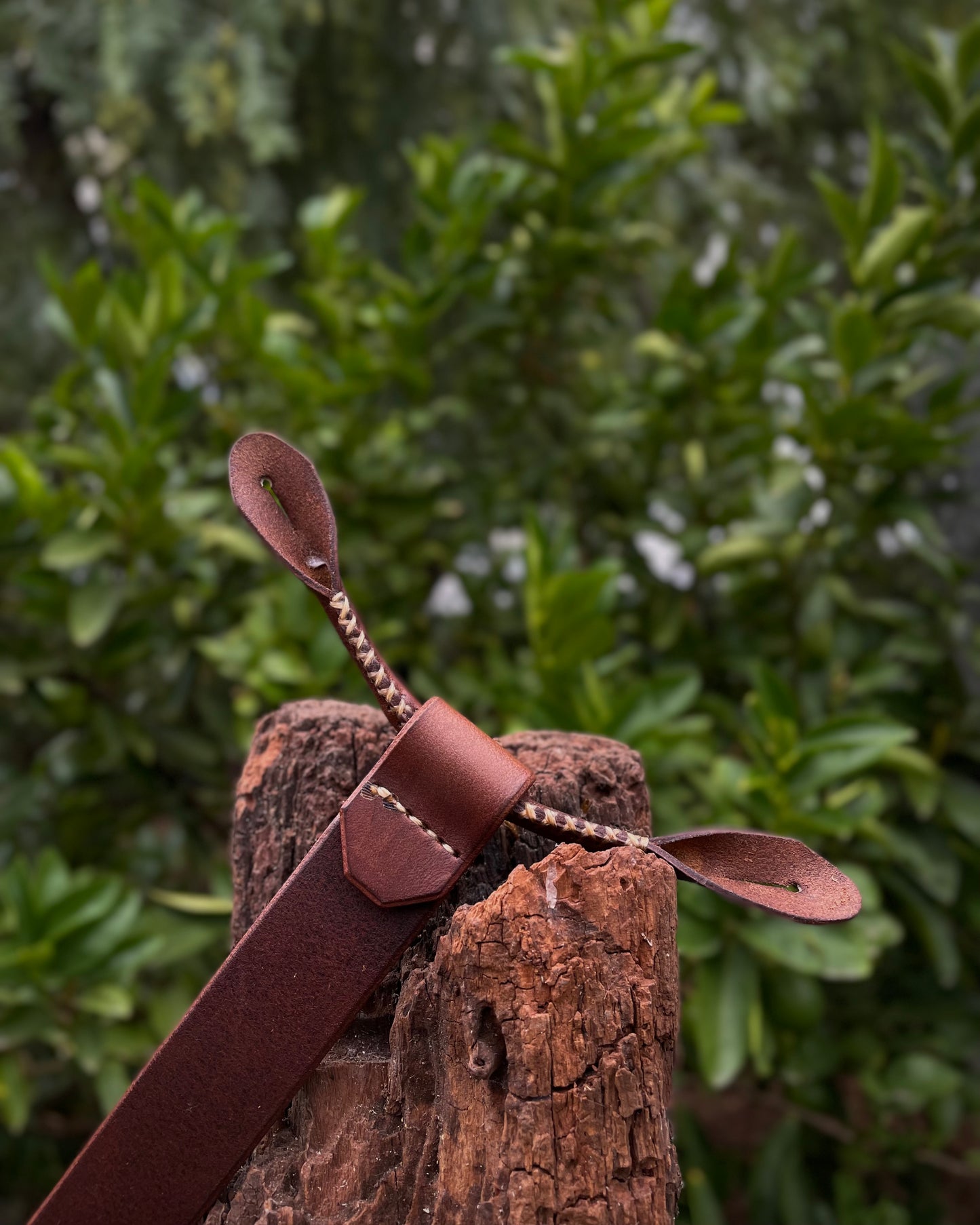 Brown leather suspenders with decorative elements on a wooden post against a green leafy background