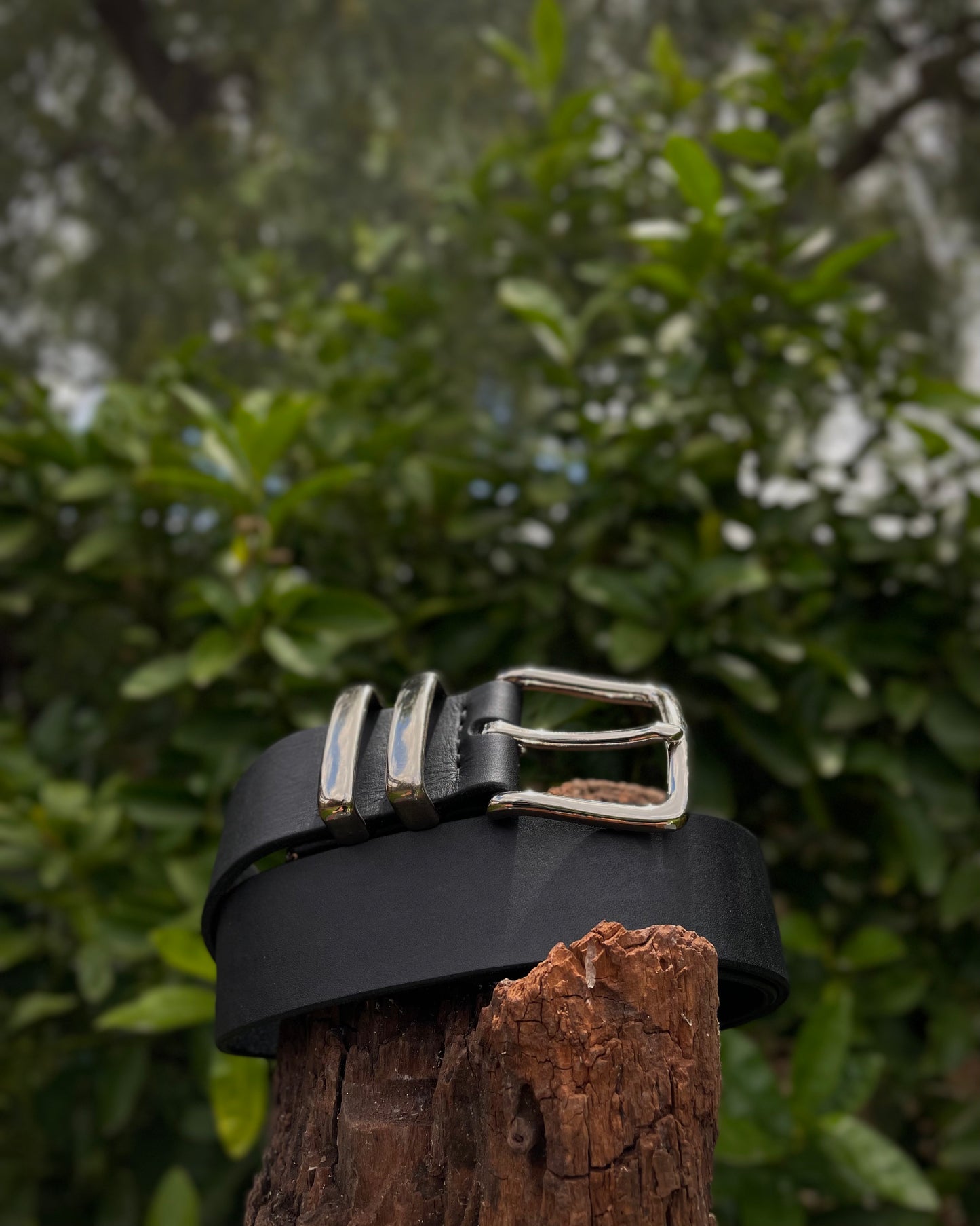 Black belt with silver buckle on a wooden stump against a blurred green foliage background