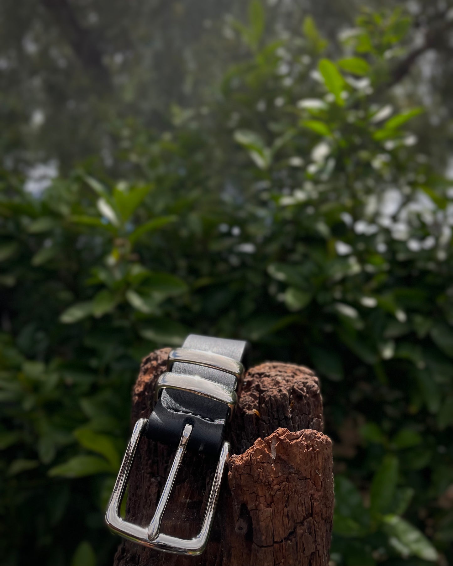 Black leather belt with silver buckle on a wooden post against a blurred green foliage background