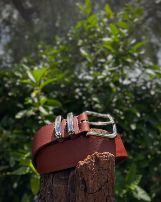 Brown leather belt with silver buckle on a wooden post against a blurred green foliage background