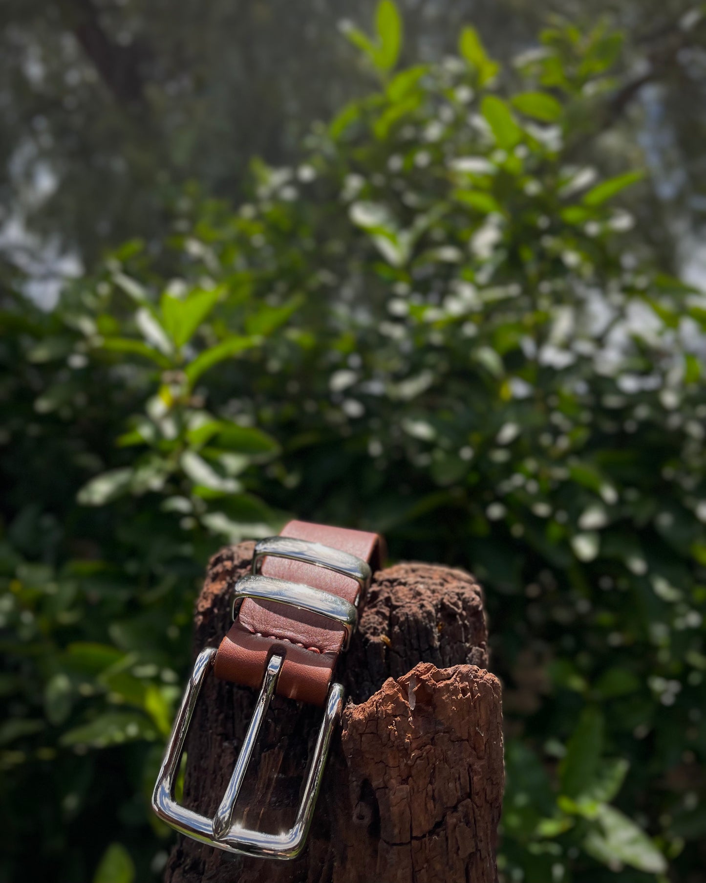 Brown leather belt with silver buckle on a wooden post against a blurred green foliage background