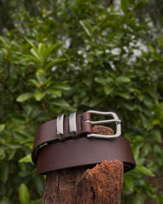 Brown leather belt with silver buckle on a wooden post against a green leafy background