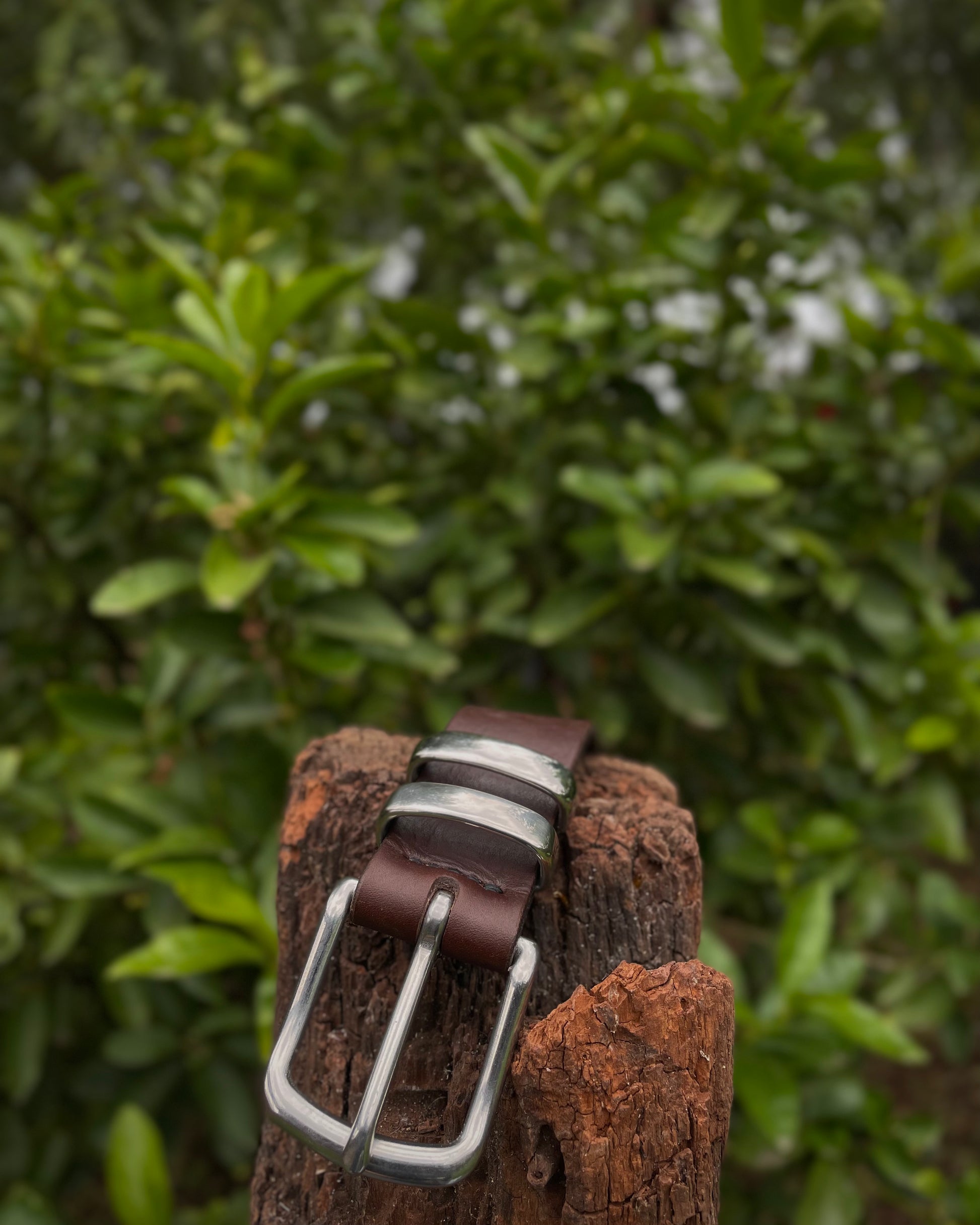 Brown leather belt with silver buckle on a wooden post against a green leafy background