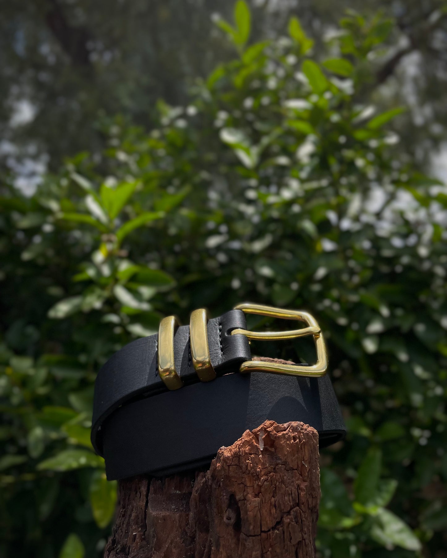 Black leather belt with brass buckle on a wooden post against a blurred green foliage background