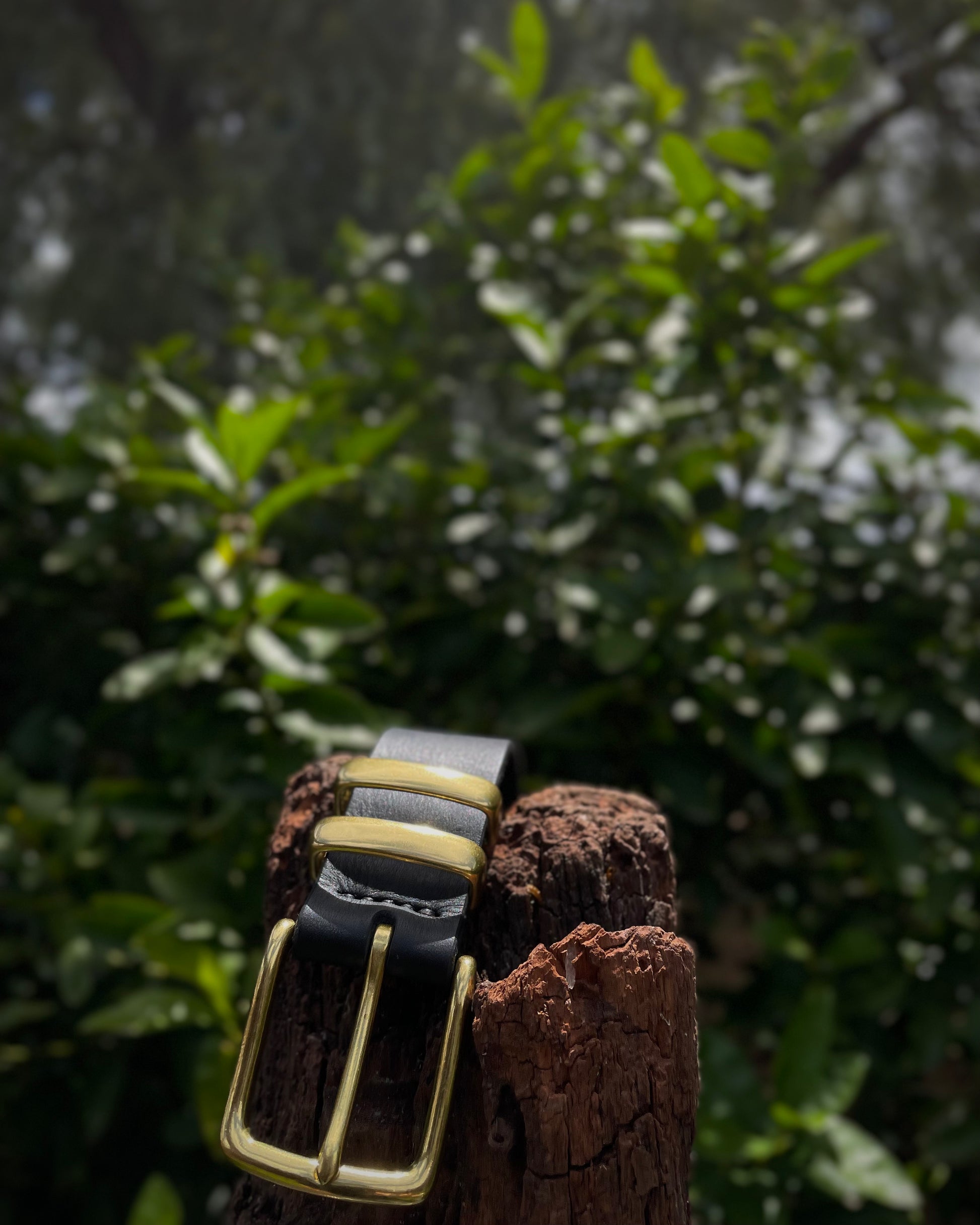 Black leather belt with brass buckle on a wooden post against a blurred green foliage background