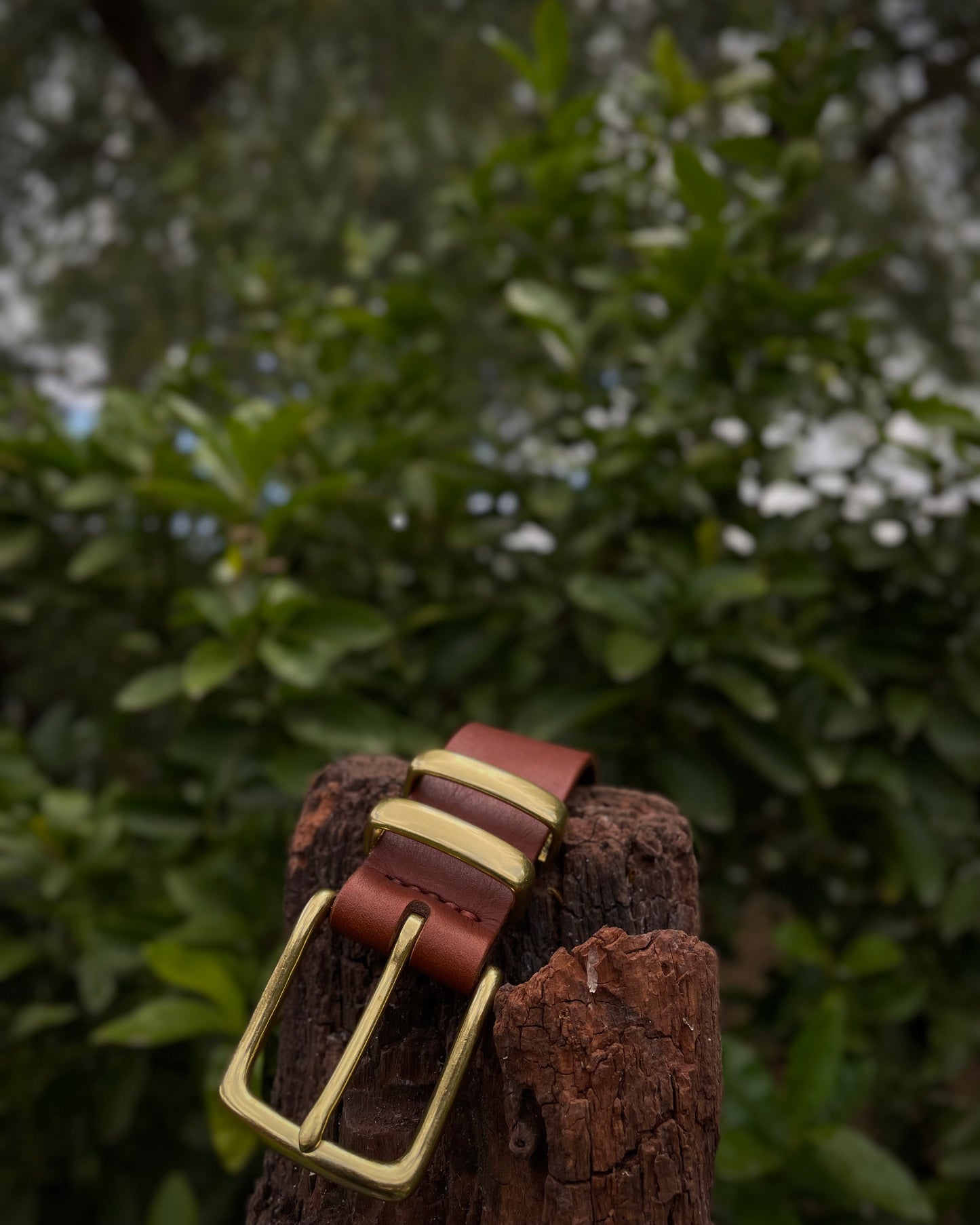 Brown leather belt with brass buckle on a wooden post against a blurred green foliage background