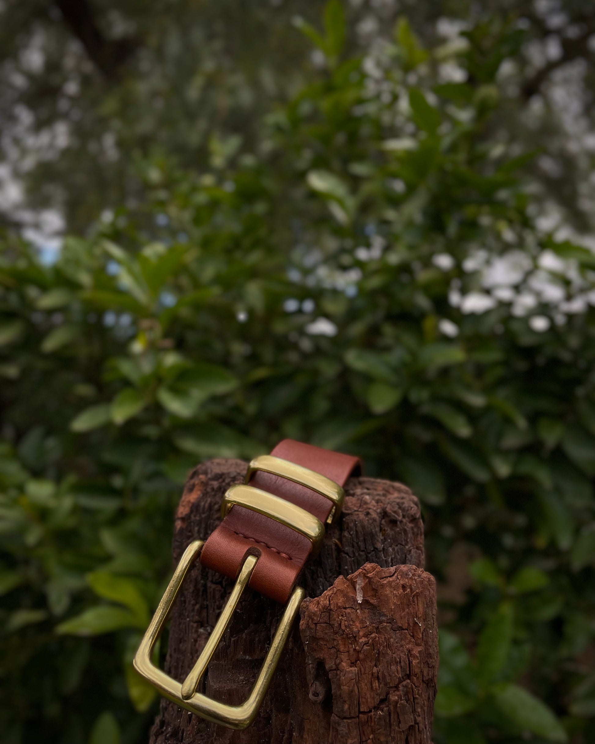 Brown leather belt with brass buckle on a wooden post against a blurred green foliage background