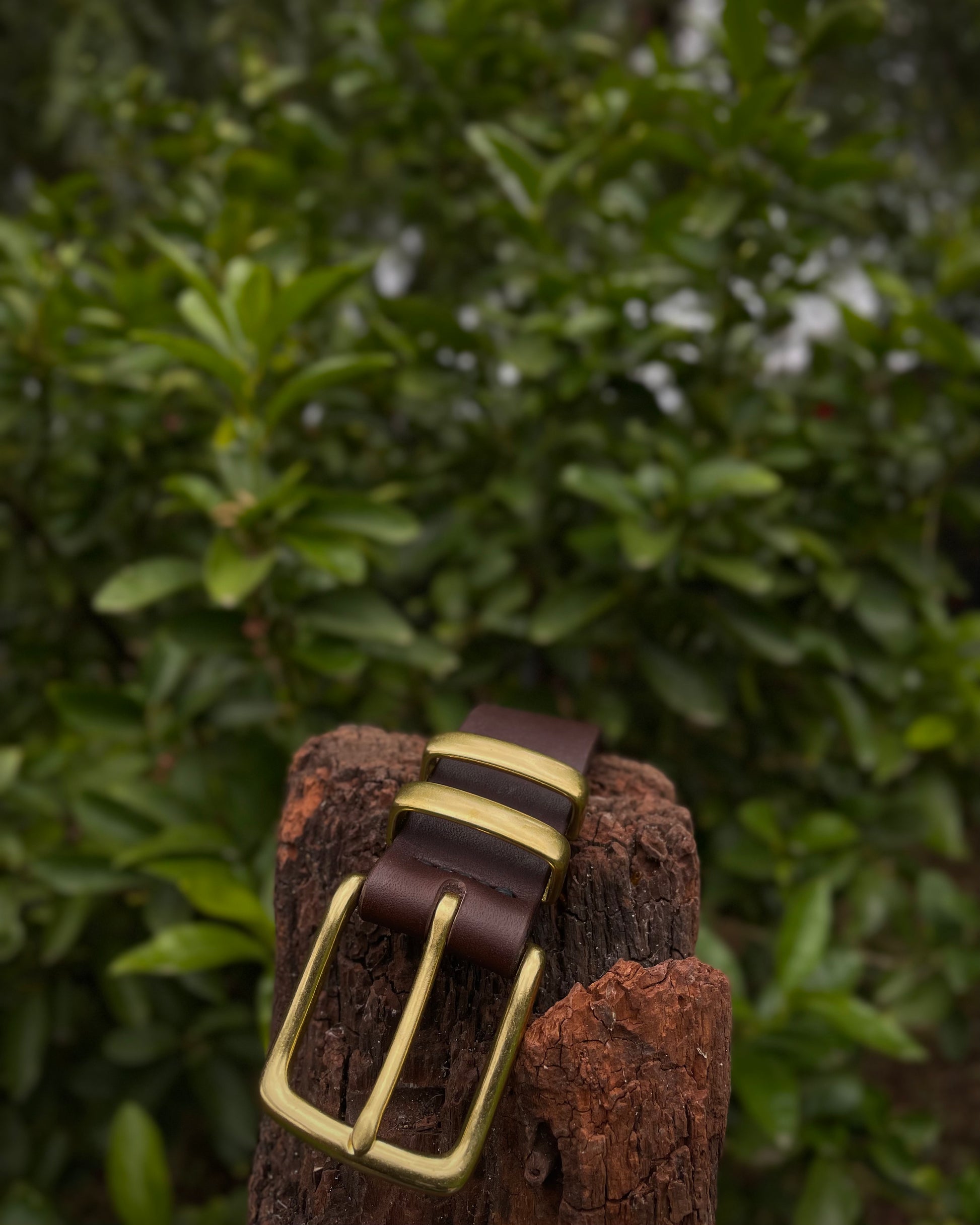 Brown leather belt with gold buckle on a wooden block against a blurred green leafy background