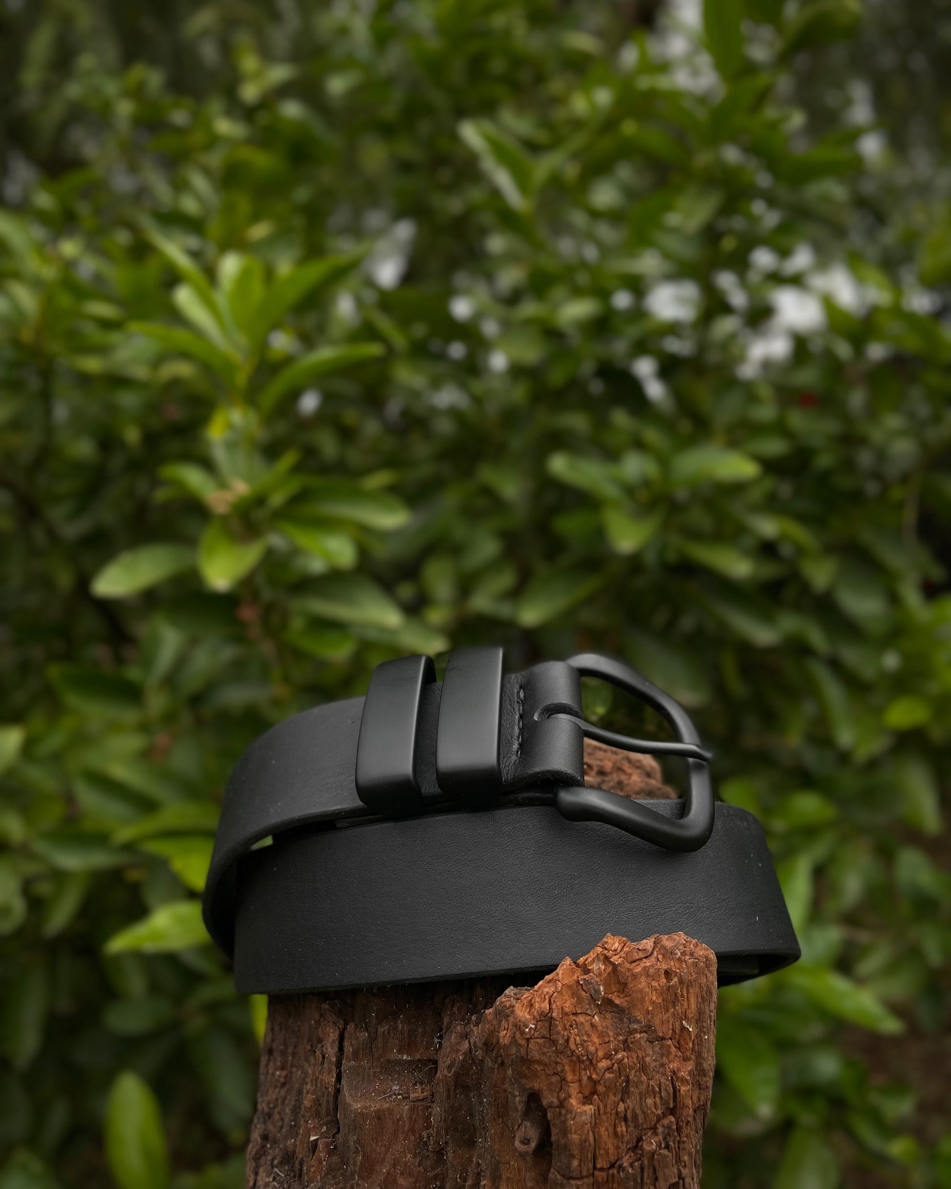 Black leather belt with a buckle on a wooden post against a green leafy background
