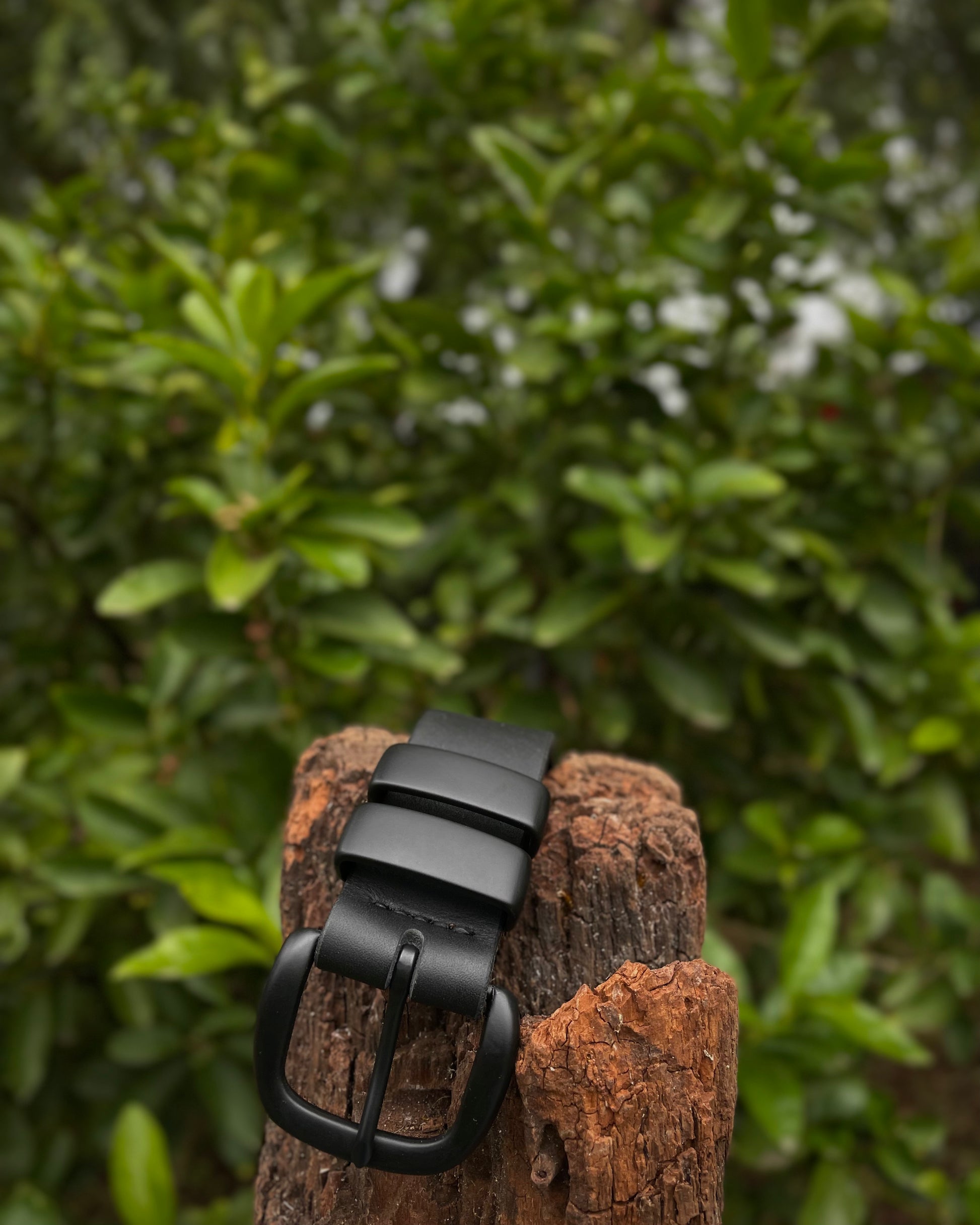 Black leather belt on a wooden post with green foliage in the background