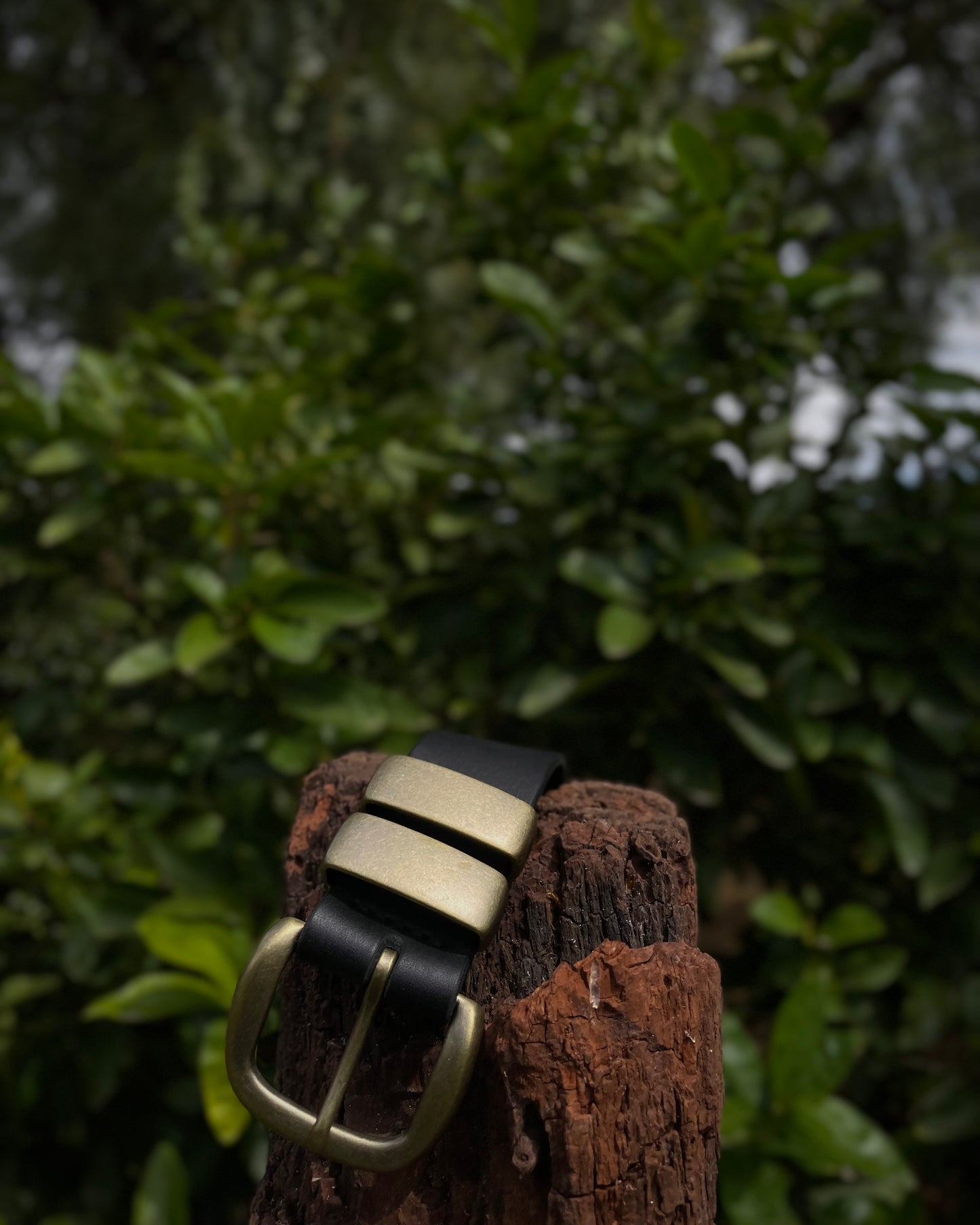 Black leather belt with brass buckle on a wooden post against a blurred green foliage background