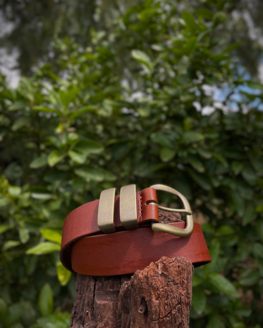 Brown leather belt with brass buckle on a wooden post against a green leafy background