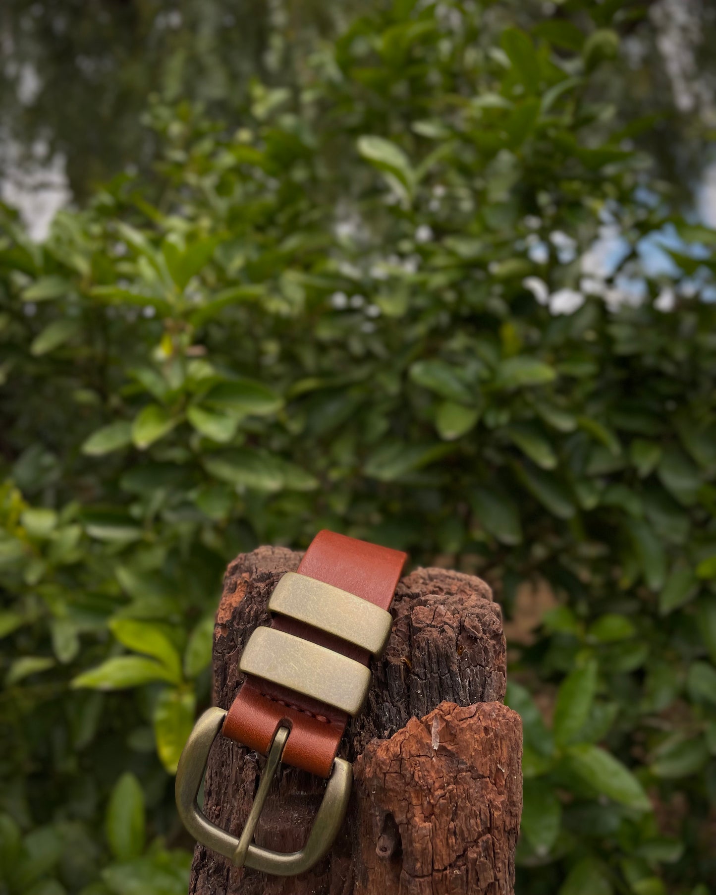 Leather belt with brass buckle on a wooden post against a green foliage background