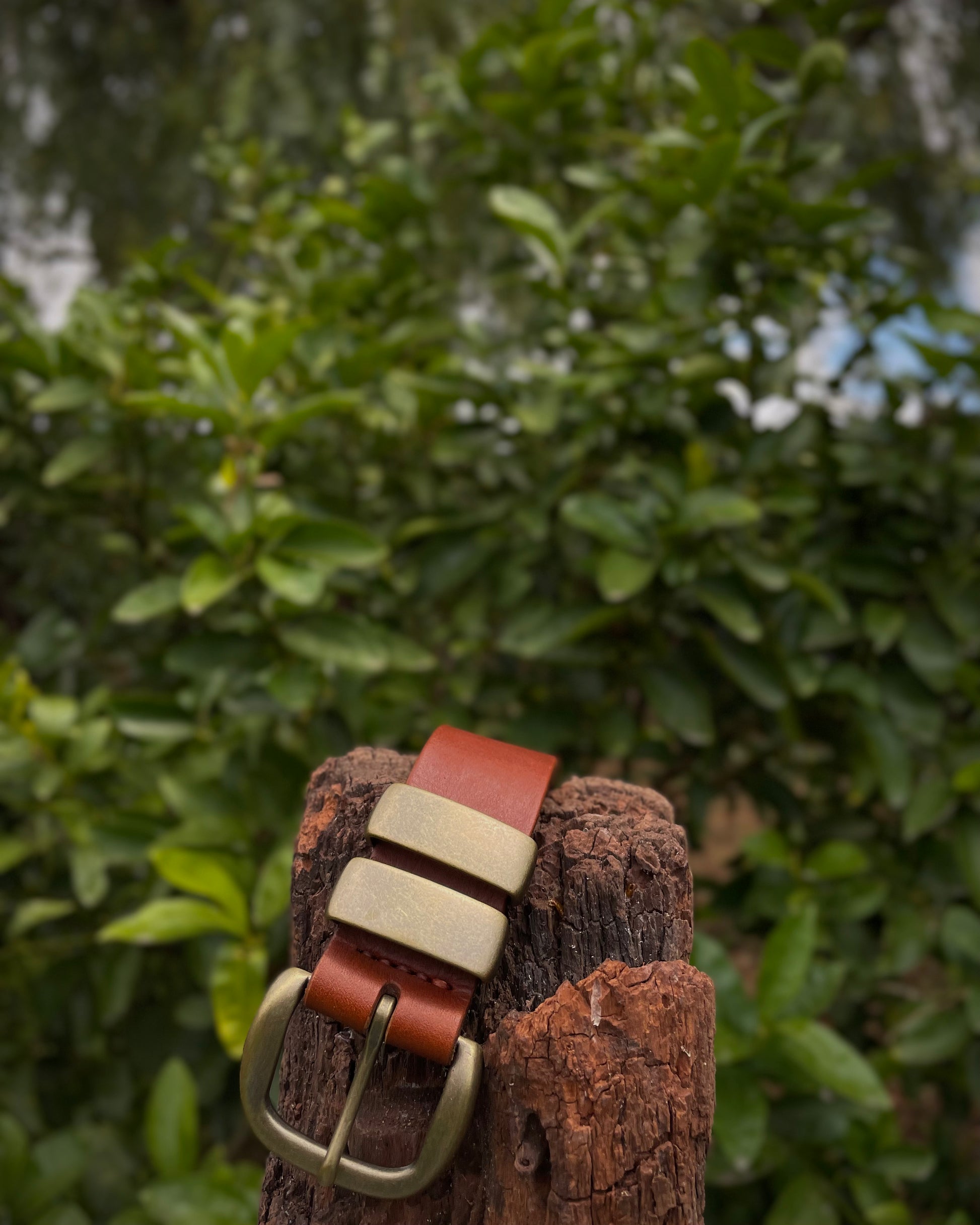 Leather belt with brass buckle on a wooden post against a green foliage background