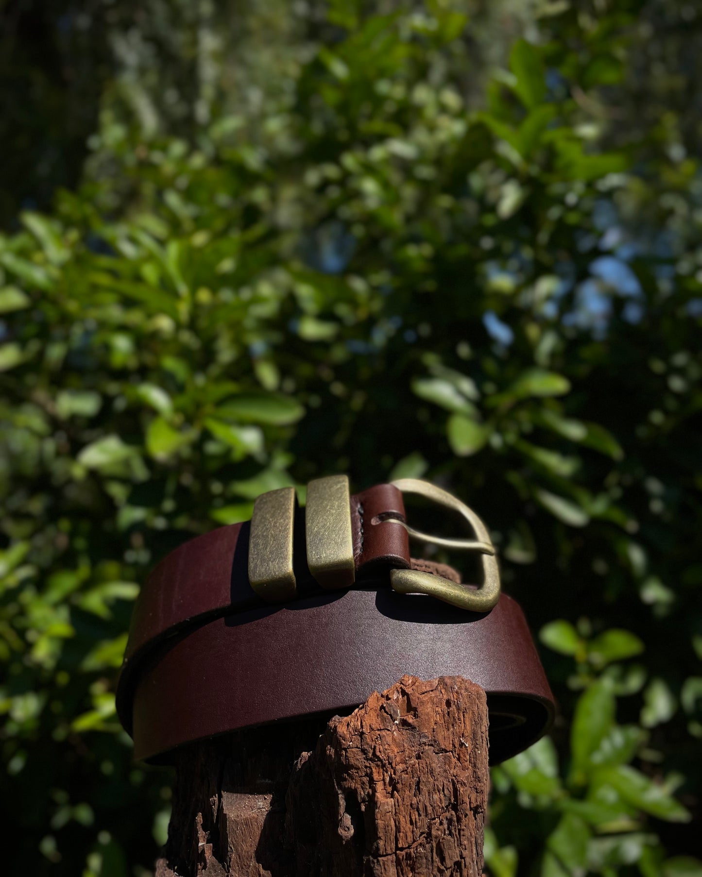 Brown leather belt with brass buckle on a wooden post against a blurred green foliage background