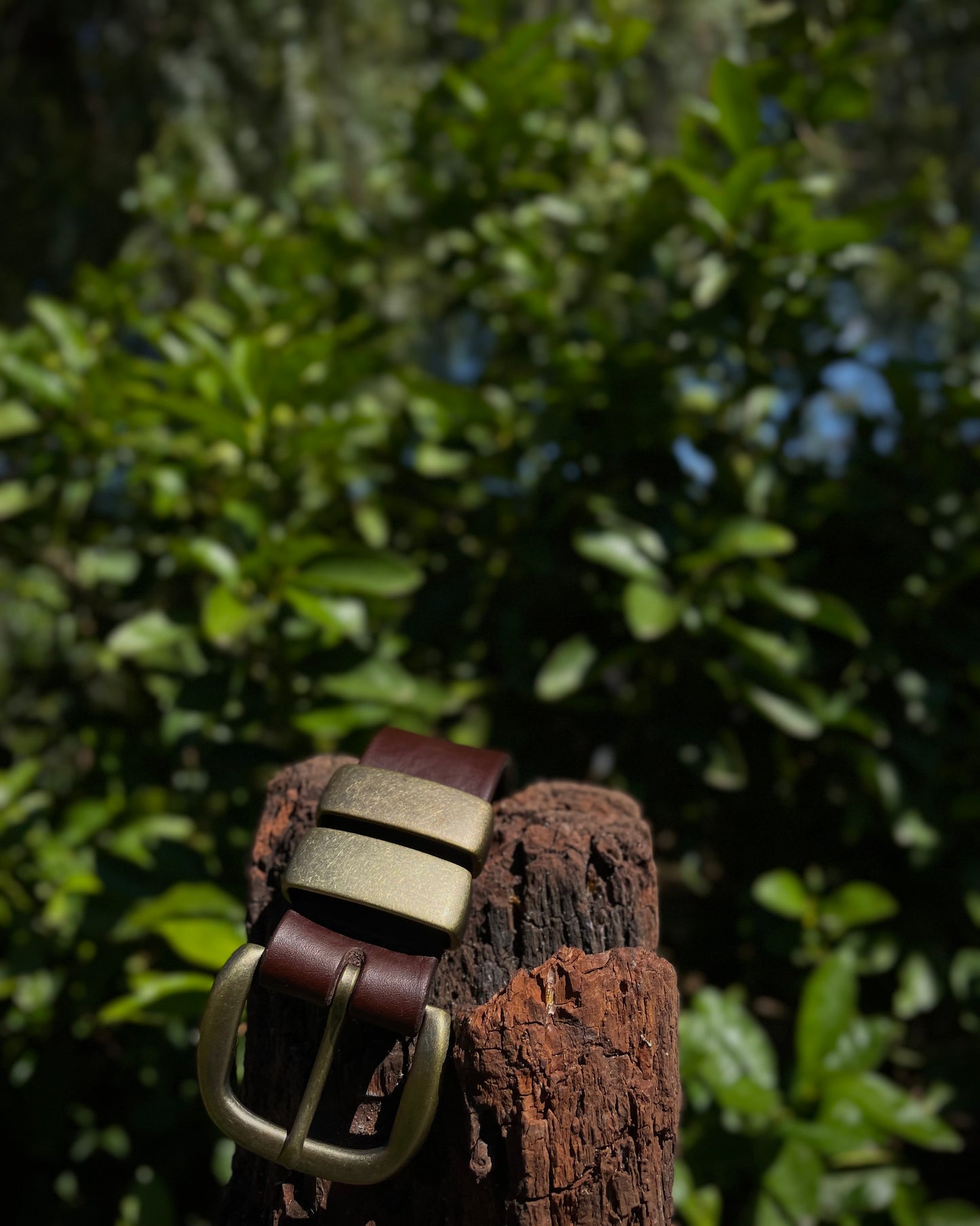 Brown leather belt with a gold buckle on a wooden post against a blurred green leafy background