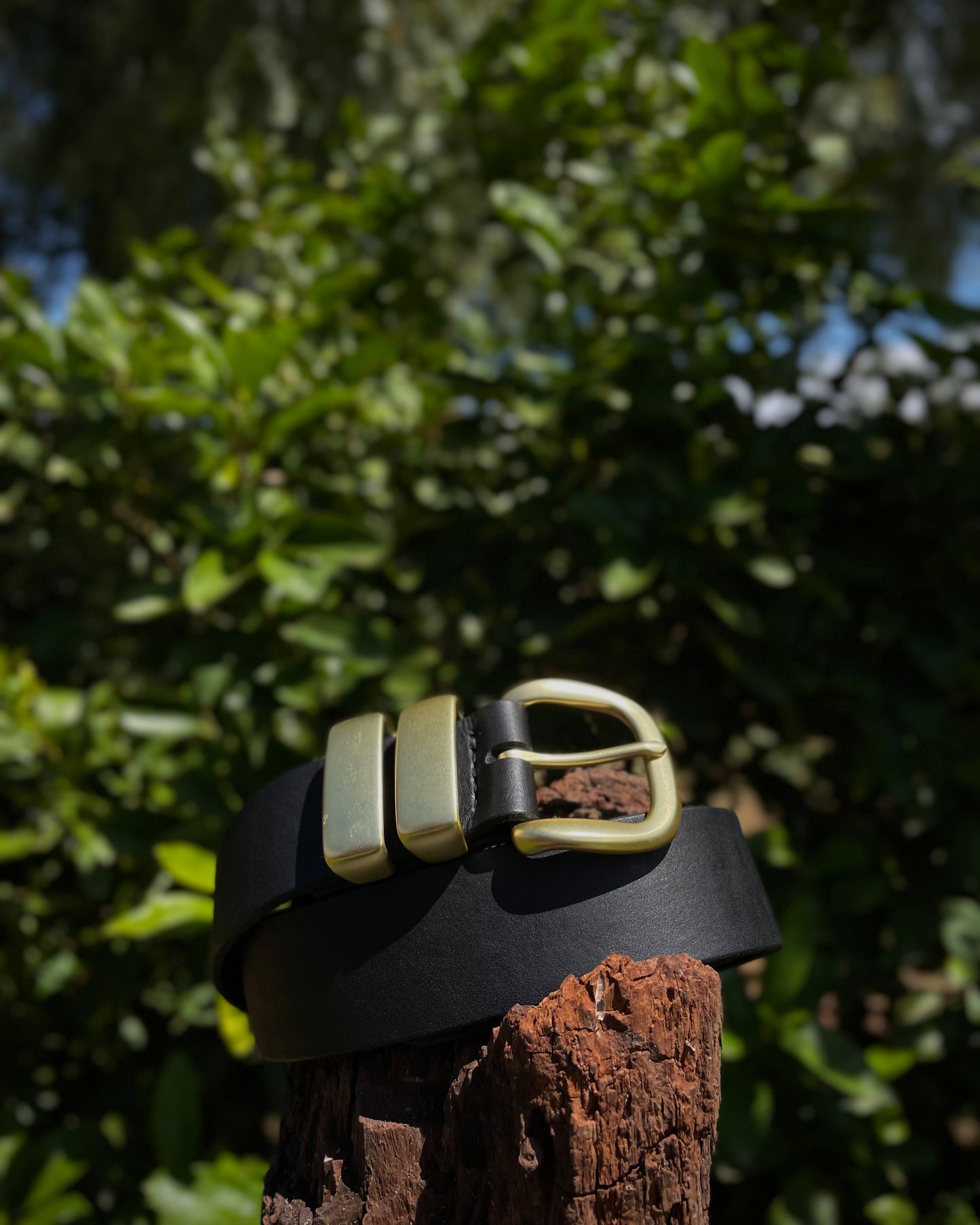Black leather belt with gold buckle on a wooden post against a green leafy background