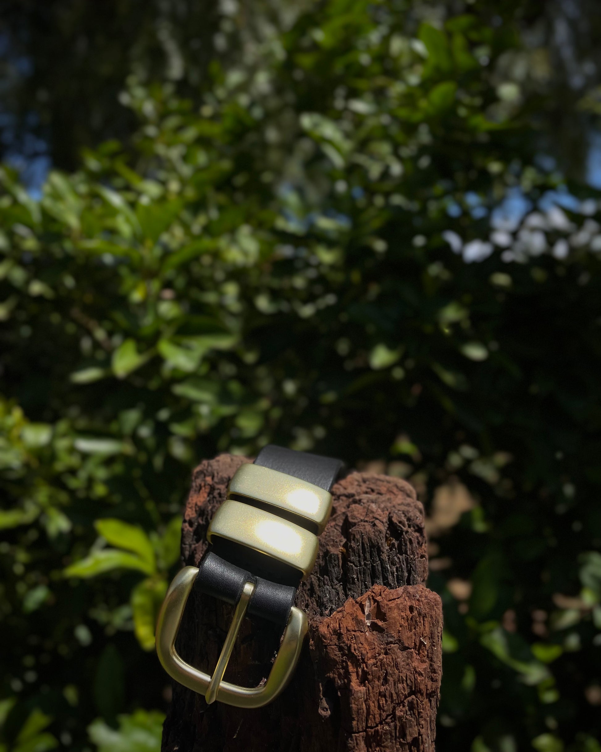 Black leather belt with a gold buckle on a wooden post against a green leafy background