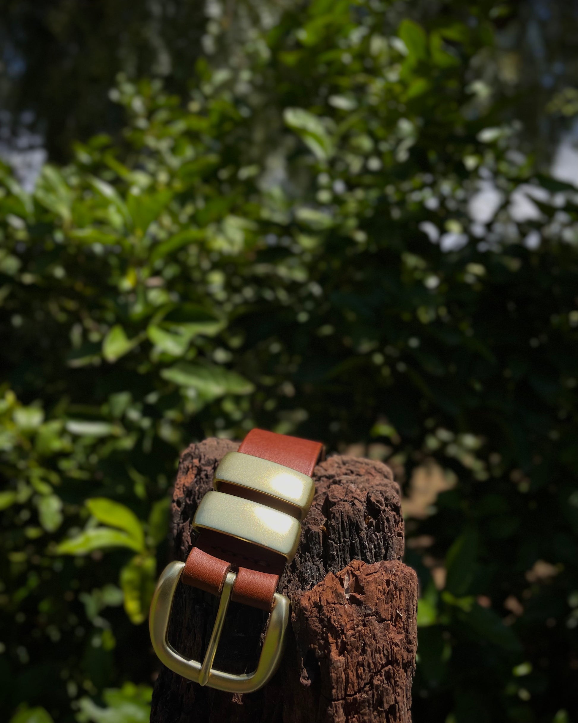 Three leather bracelets with a gold buckle on a wooden block against a green leafy background