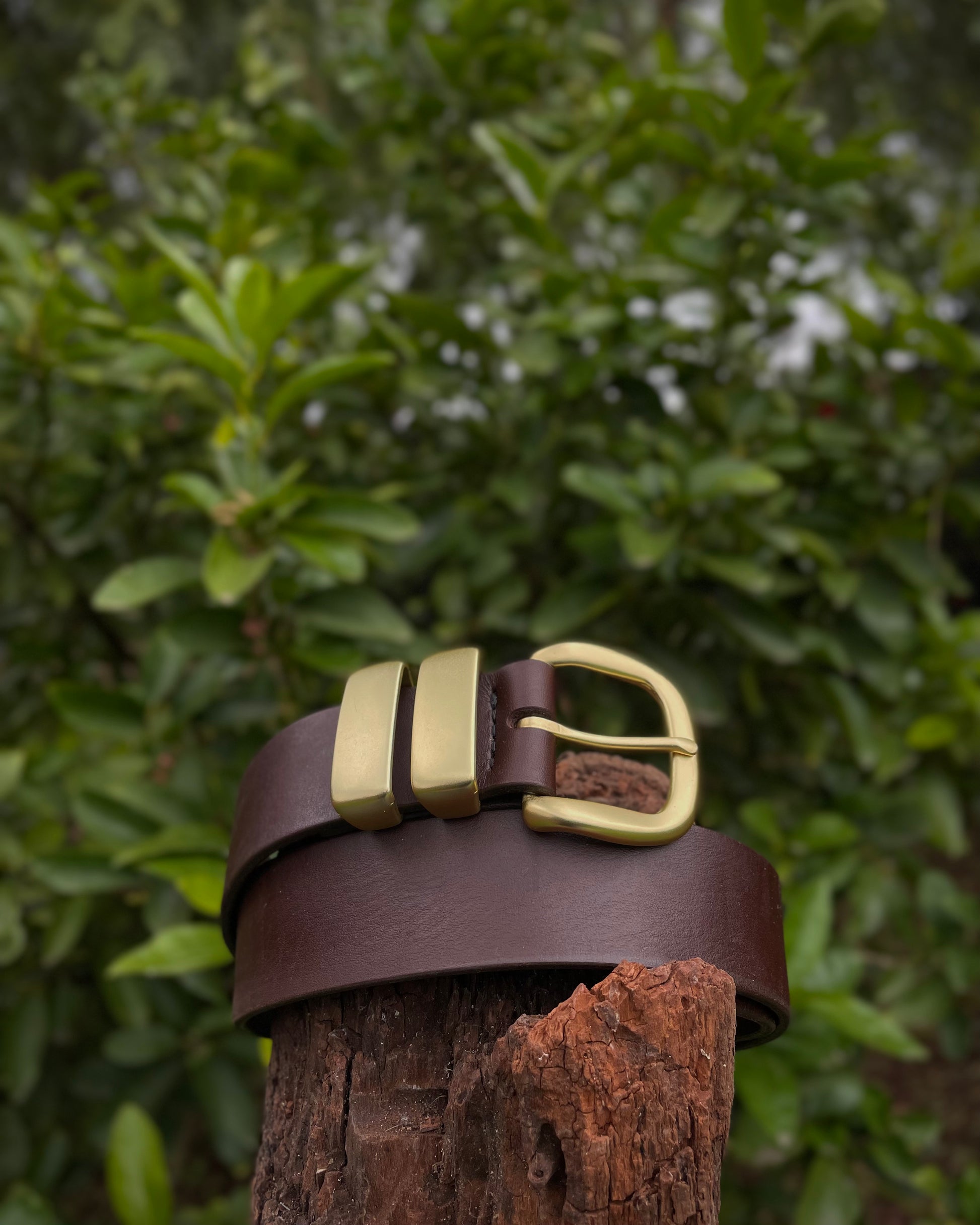 Brown leather belt with gold buckle on a wooden stump against a blurred green leafy background