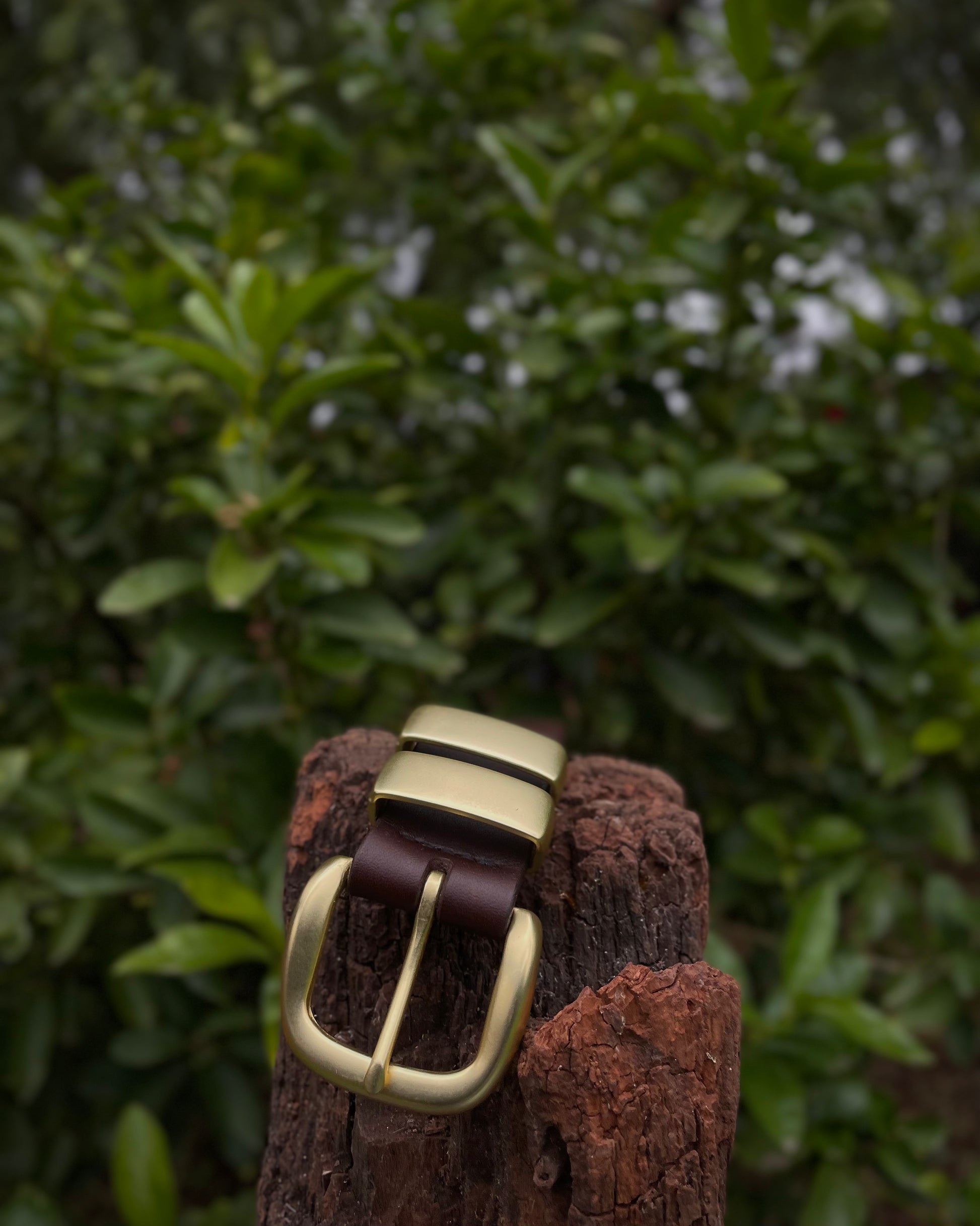 Brown leather belt with brass buckle on a wooden block against a green leafy background