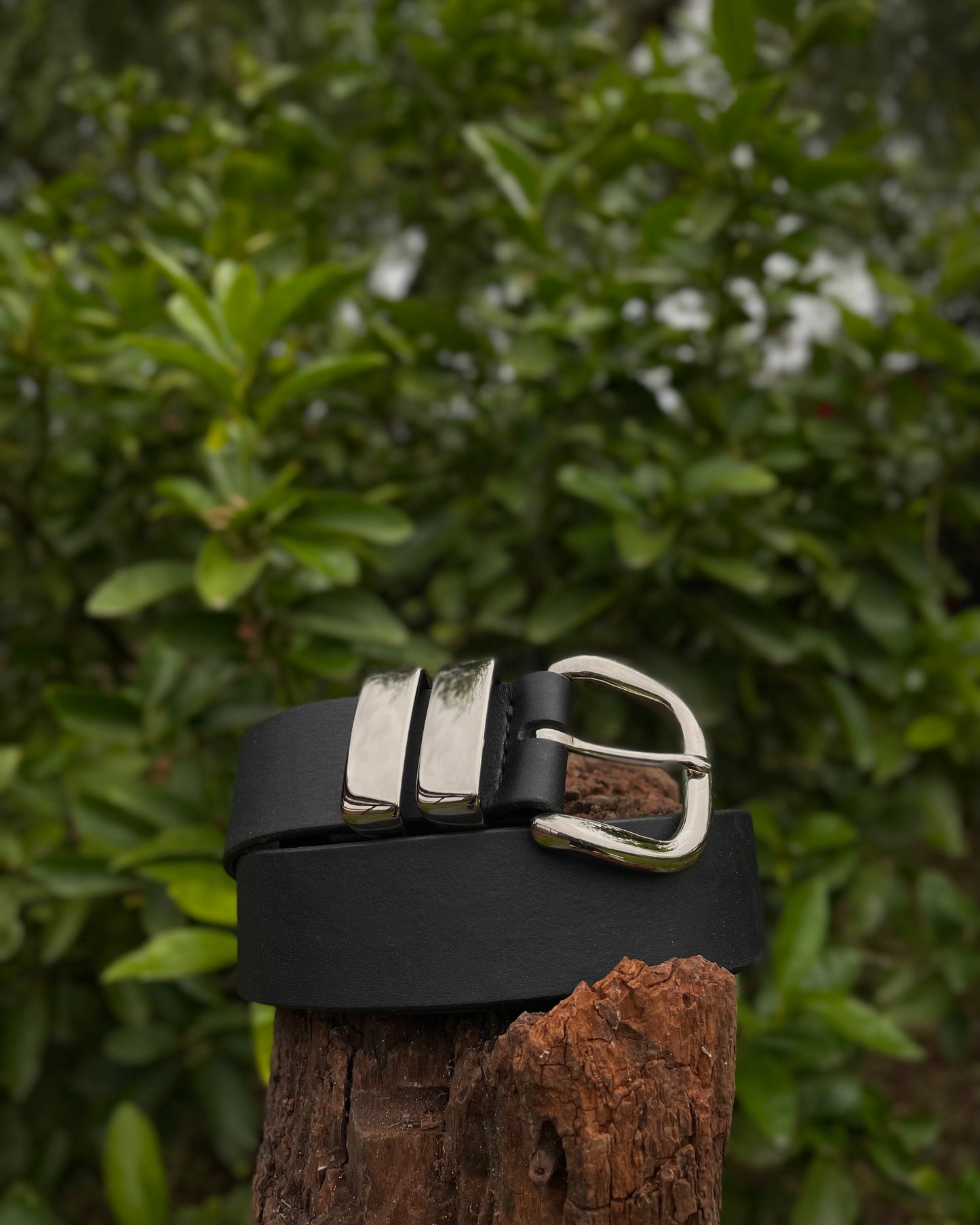 Black leather belt with silver buckle on a wooden post against a green leafy background