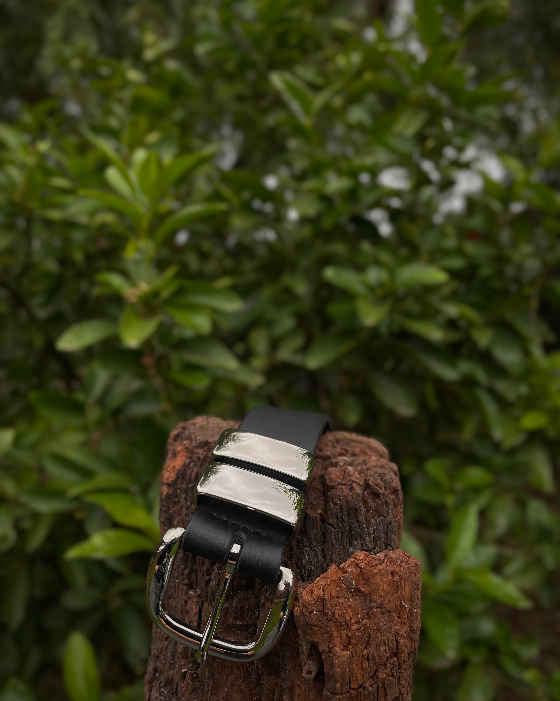 Black leather belt with silver buckle on a wooden post against a green leafy background
