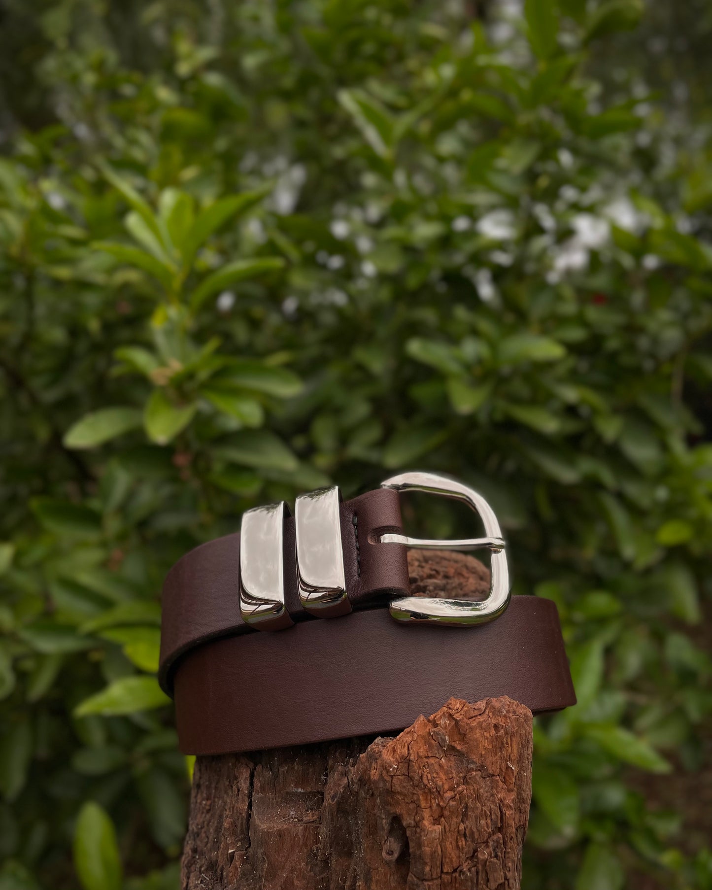 Brown leather belt with silver buckle on a wooden block against a green leafy background