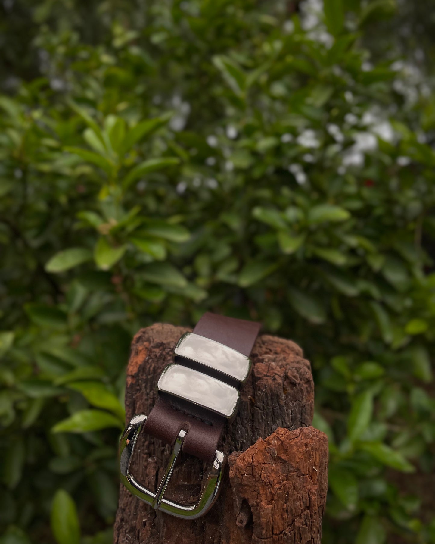 Brown leather belt with silver buckle on a wooden block against a green leafy background