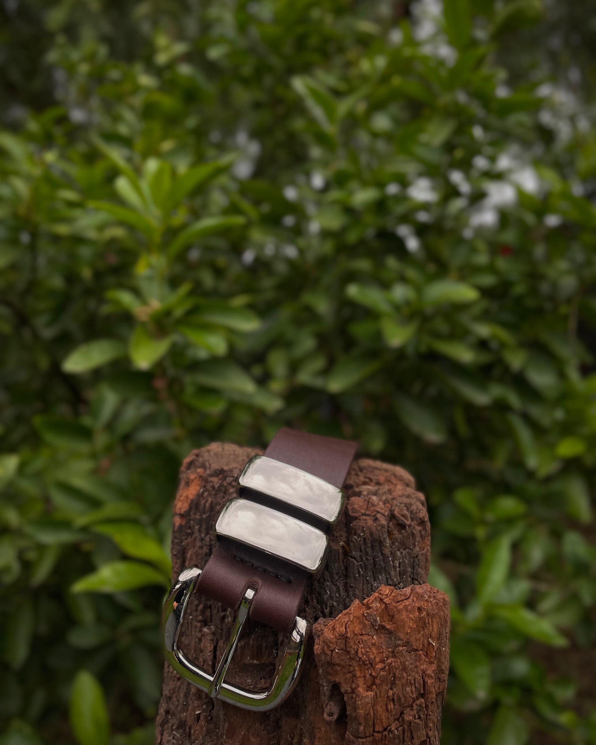 Brown leather belt with silver buckle on a wooden block against a green leafy background