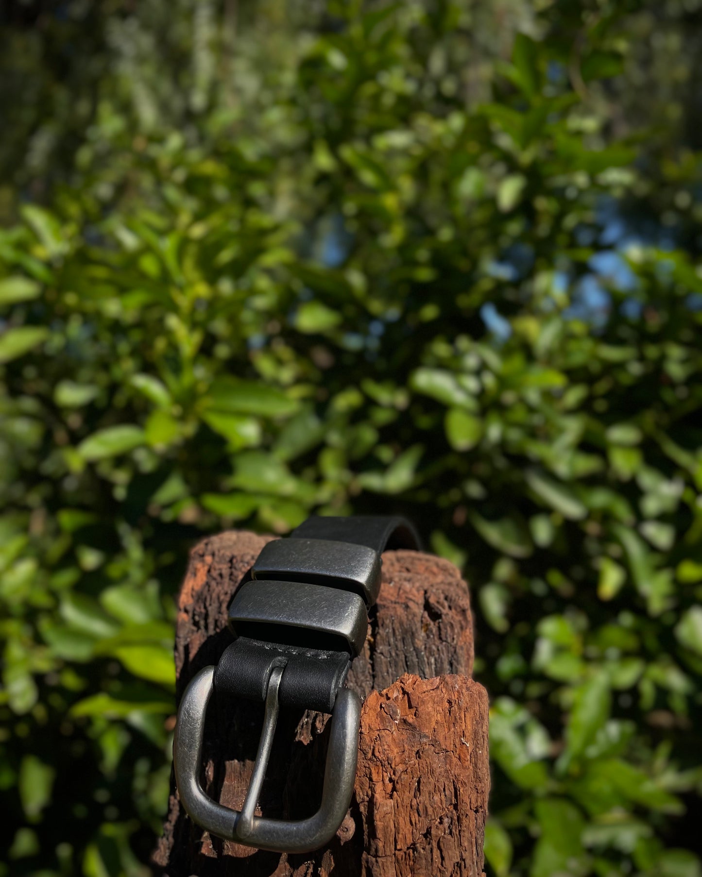 Black belt with silver buckle on a wooden post against a blurred green foliage background