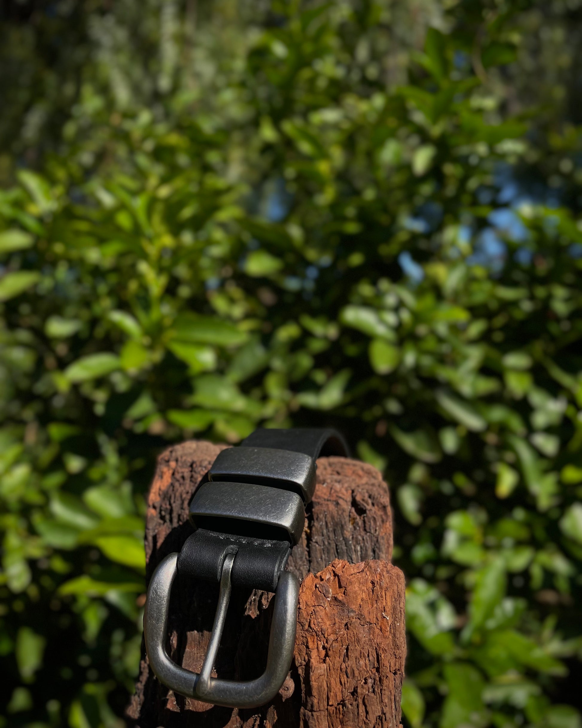 Black belt with silver buckle on a wooden post against a blurred green foliage background