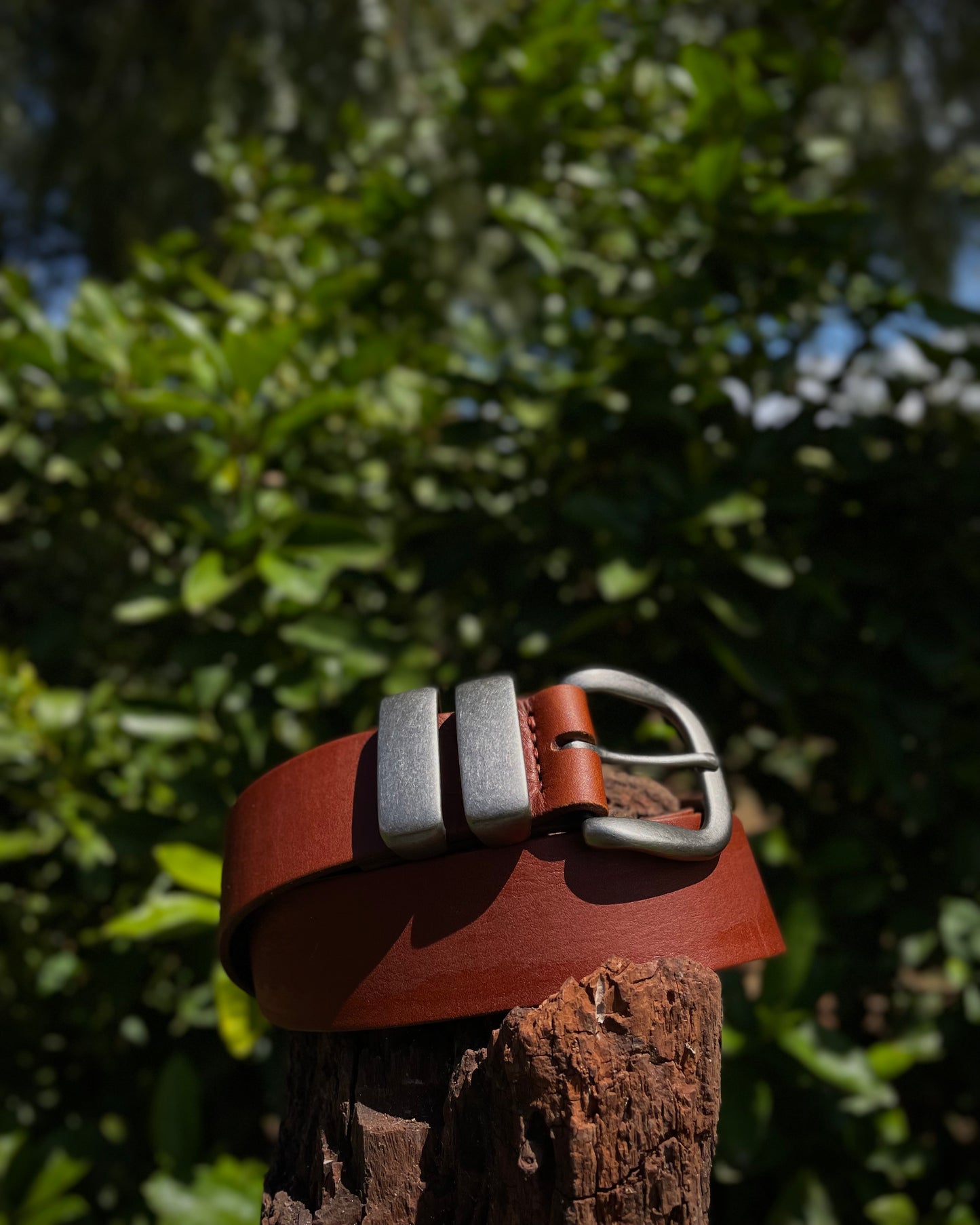 Brown leather belt with silver buckle on a wooden log against a green leafy background