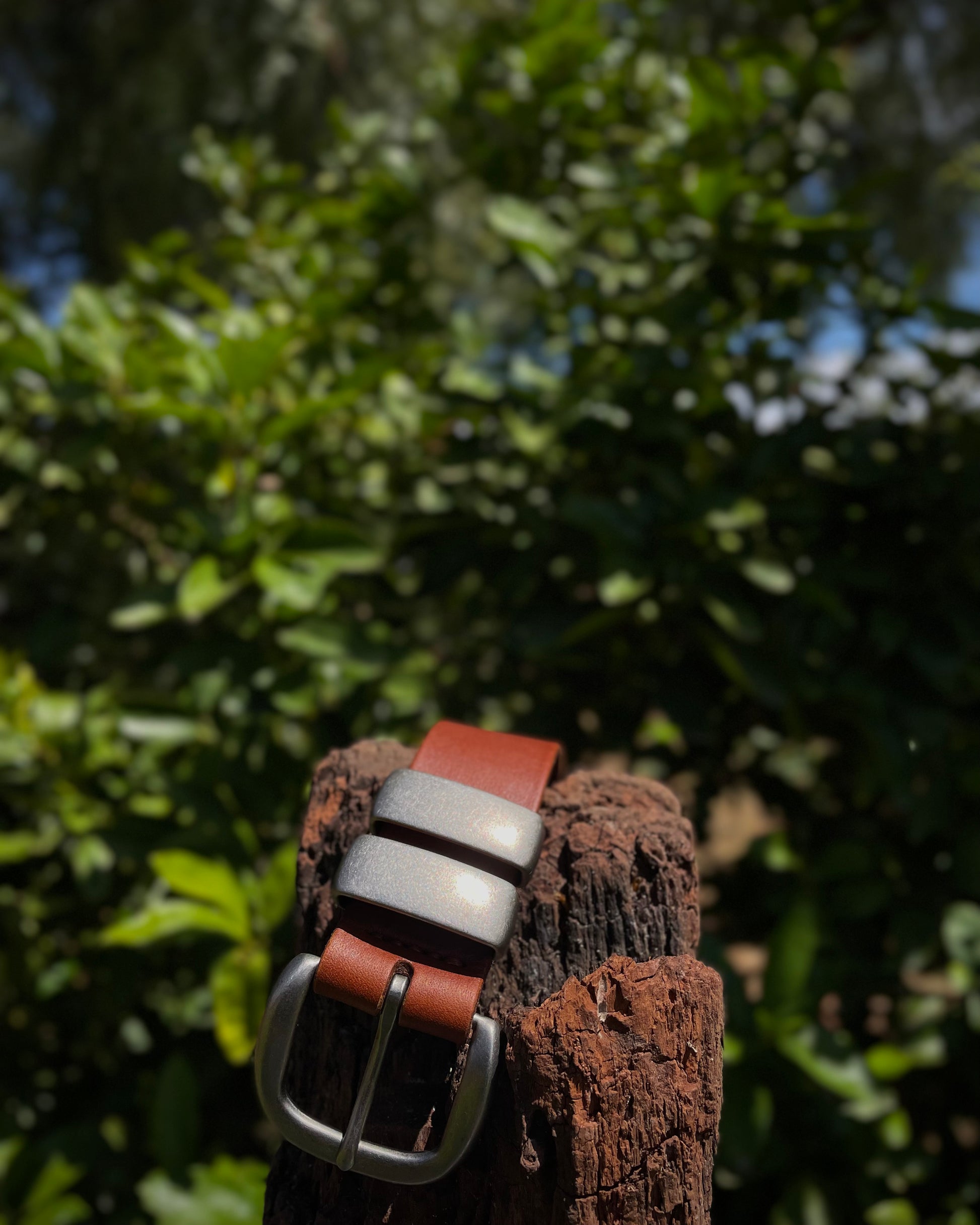 Brown leather belt with a silver buckle on a wooden post against a green leafy background