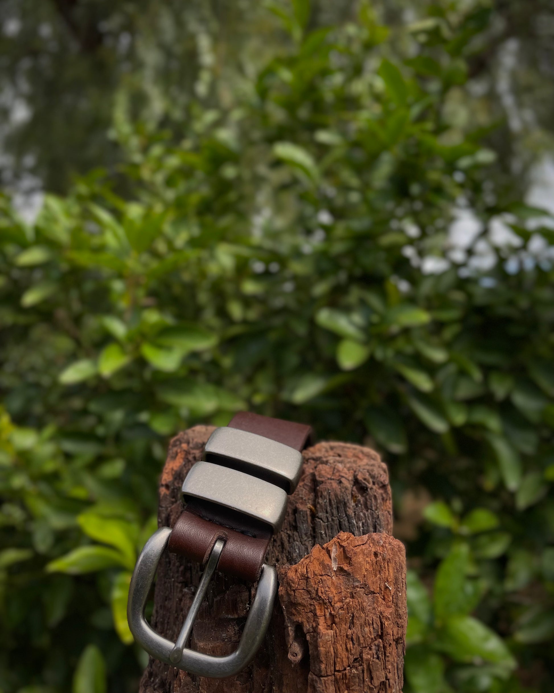 Brown leather belt with silver buckle on a wooden post against a green foliage background