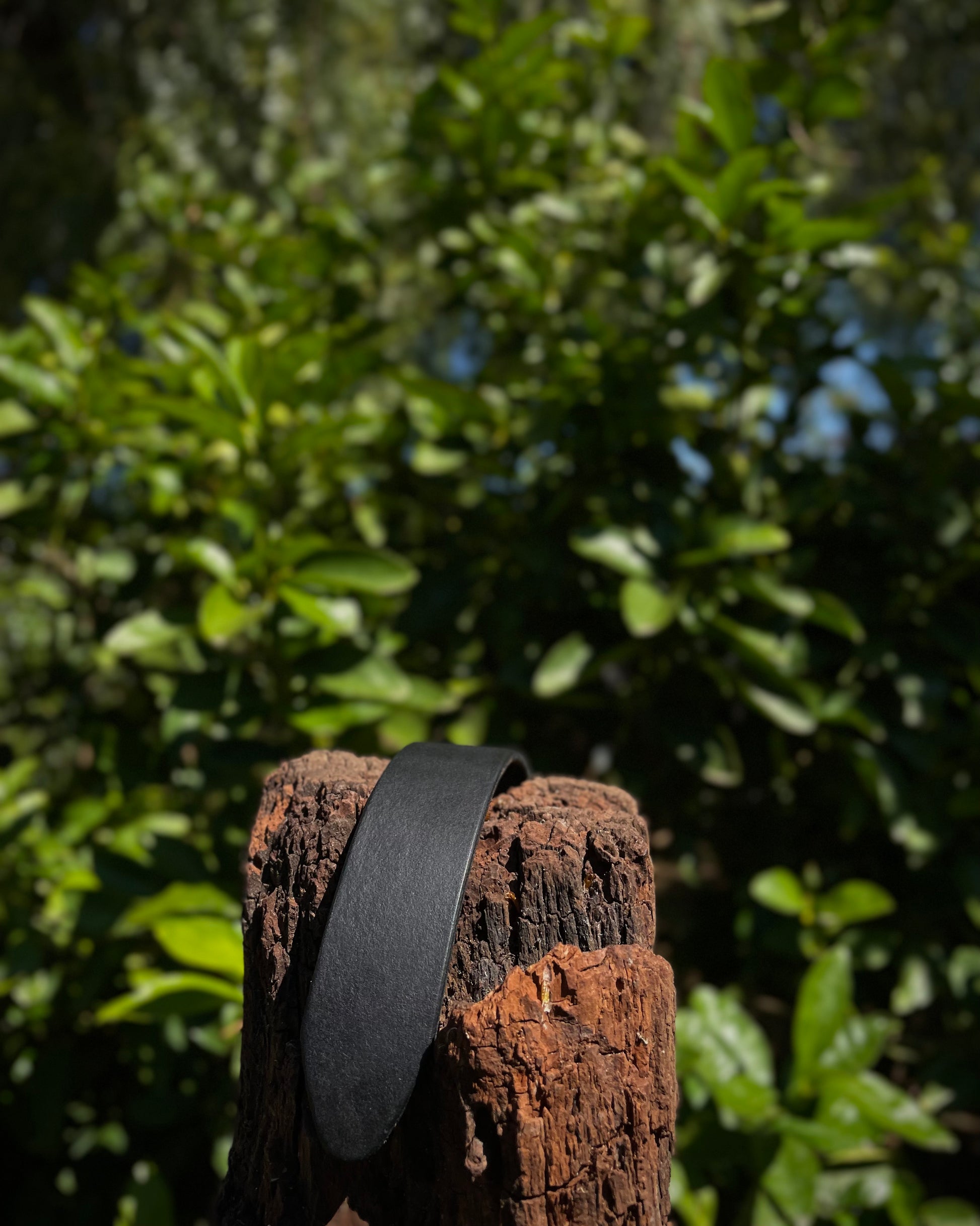 Black leather strap on a wooden post with green foliage in the background