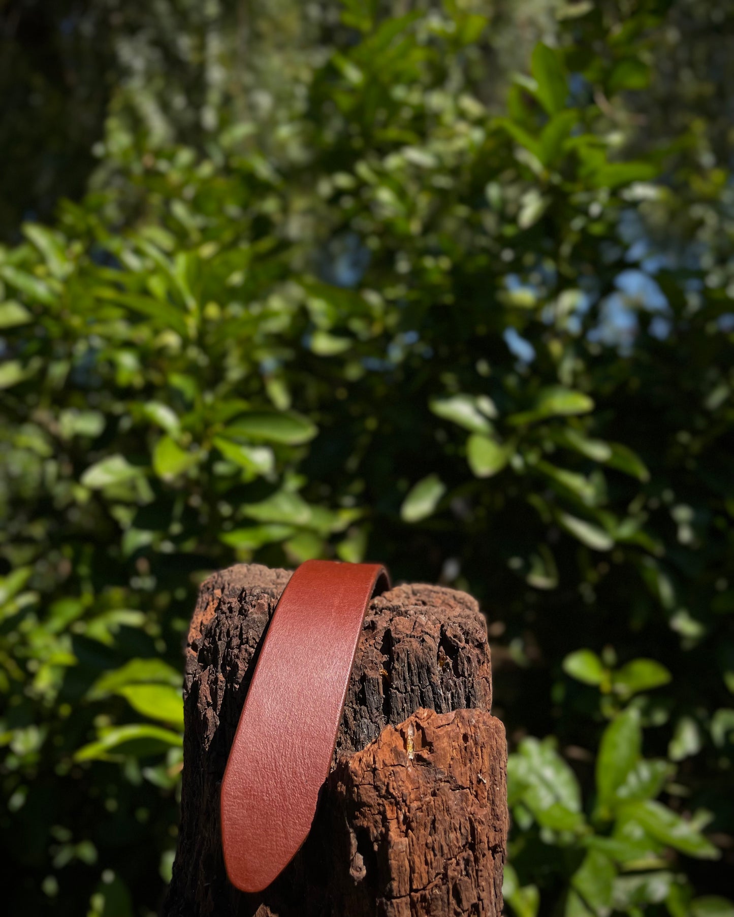 Brown leather belt on a wooden post with a blurred green leafy background