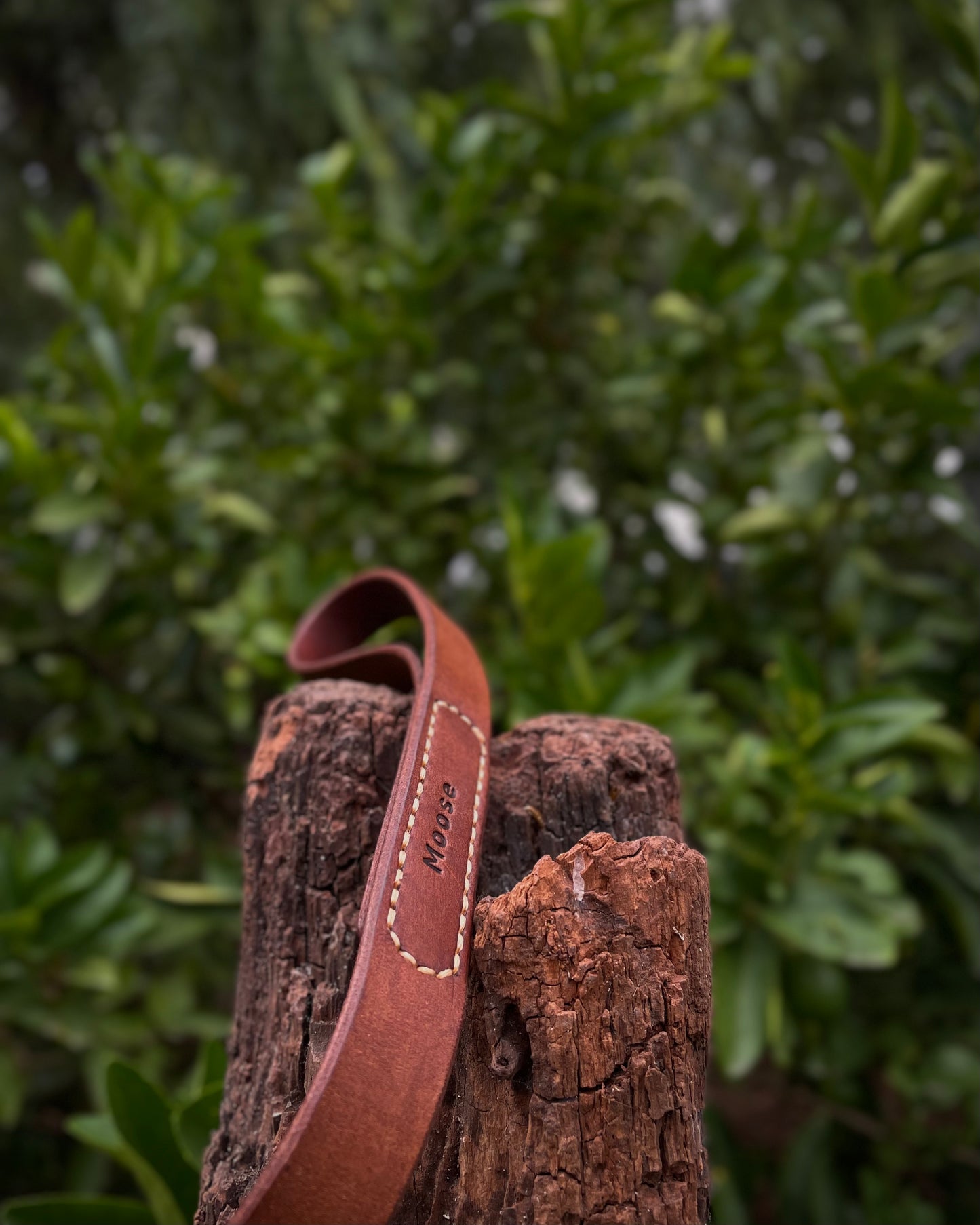 Brown leather dog leash with stitching detail on a wooden log against a green leafy background