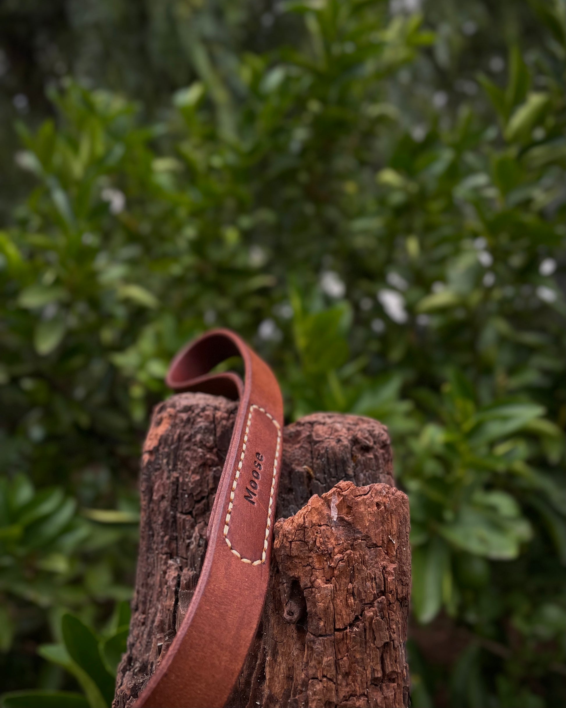 Brown leather dog leash with stitching detail on a wooden log against a green leafy background