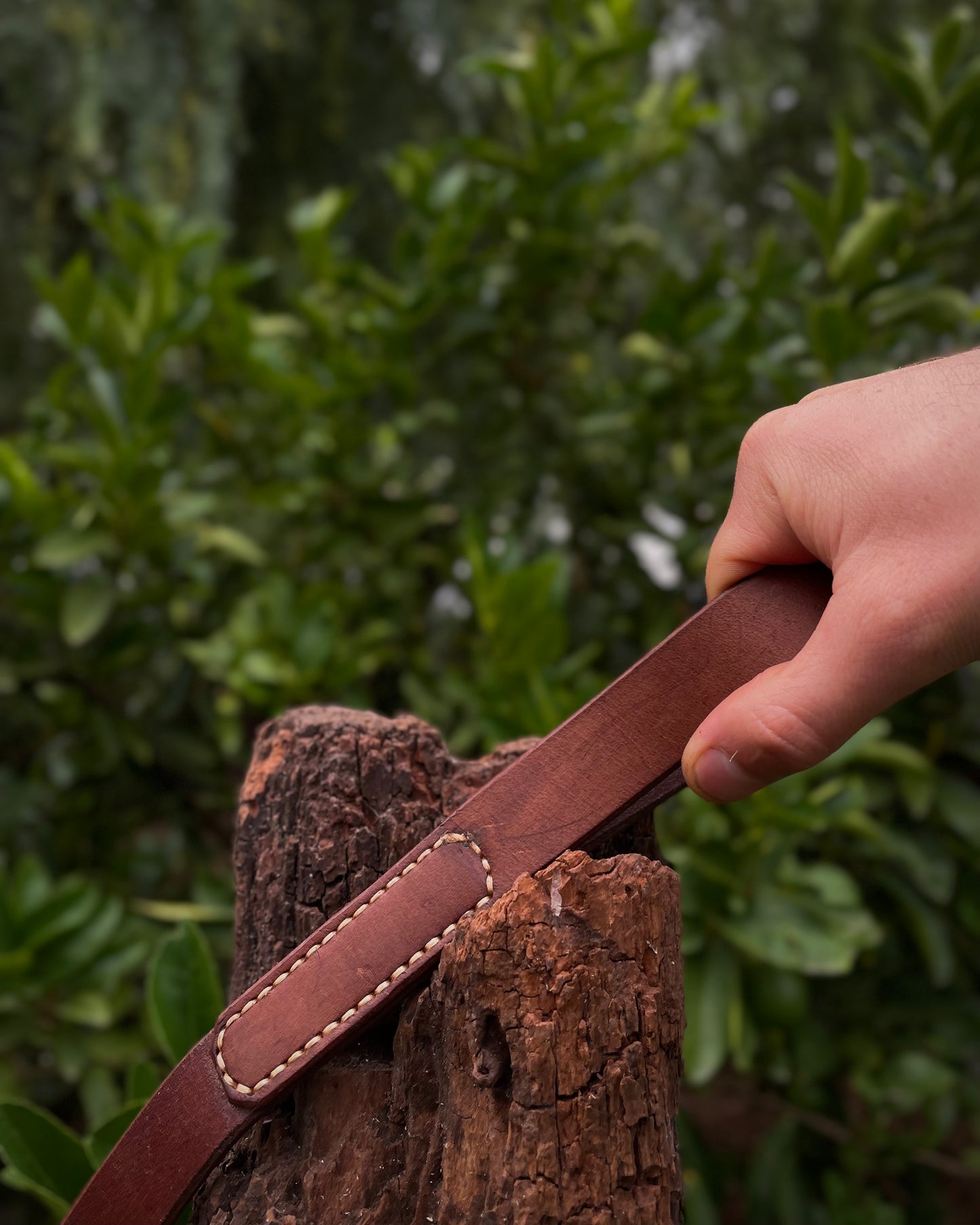 Hand holding a brown leather dog leash over a tree stump with green foliage in the background