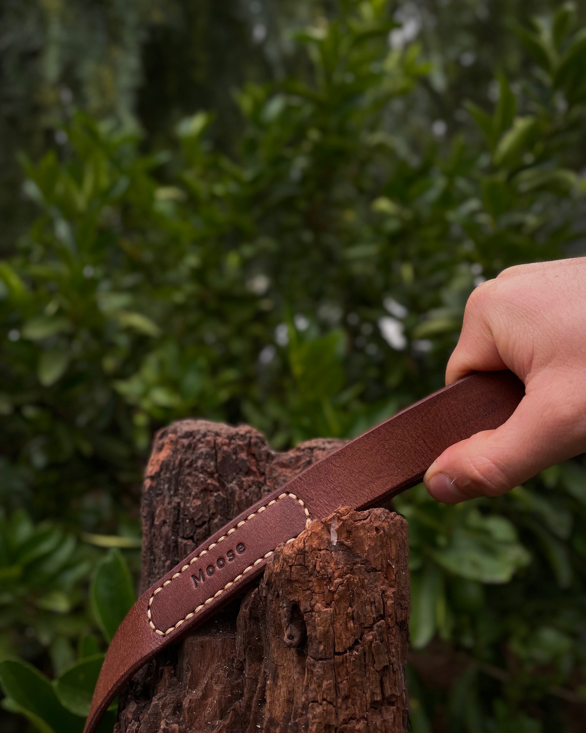 Hand holding a brown leather dog leash over a tree stump with green foliage in the background