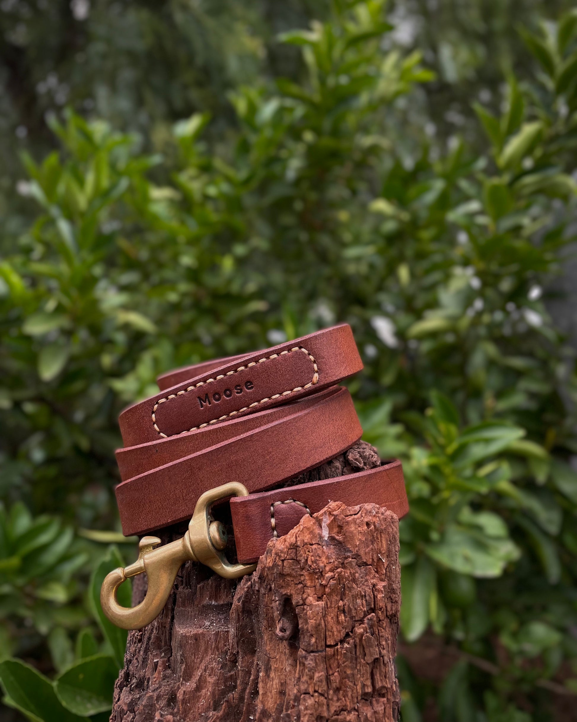 Brown leather dog leash with brass clasp on a wooden post against a green leafy background