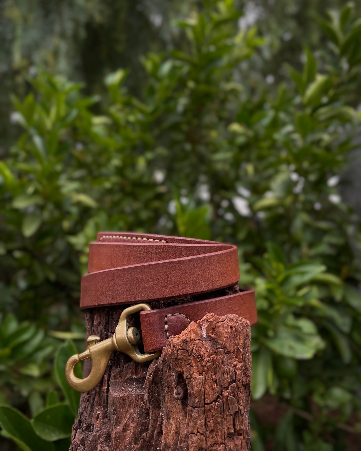 Brown leather dog leash set on a wooden post with green foliage in the background