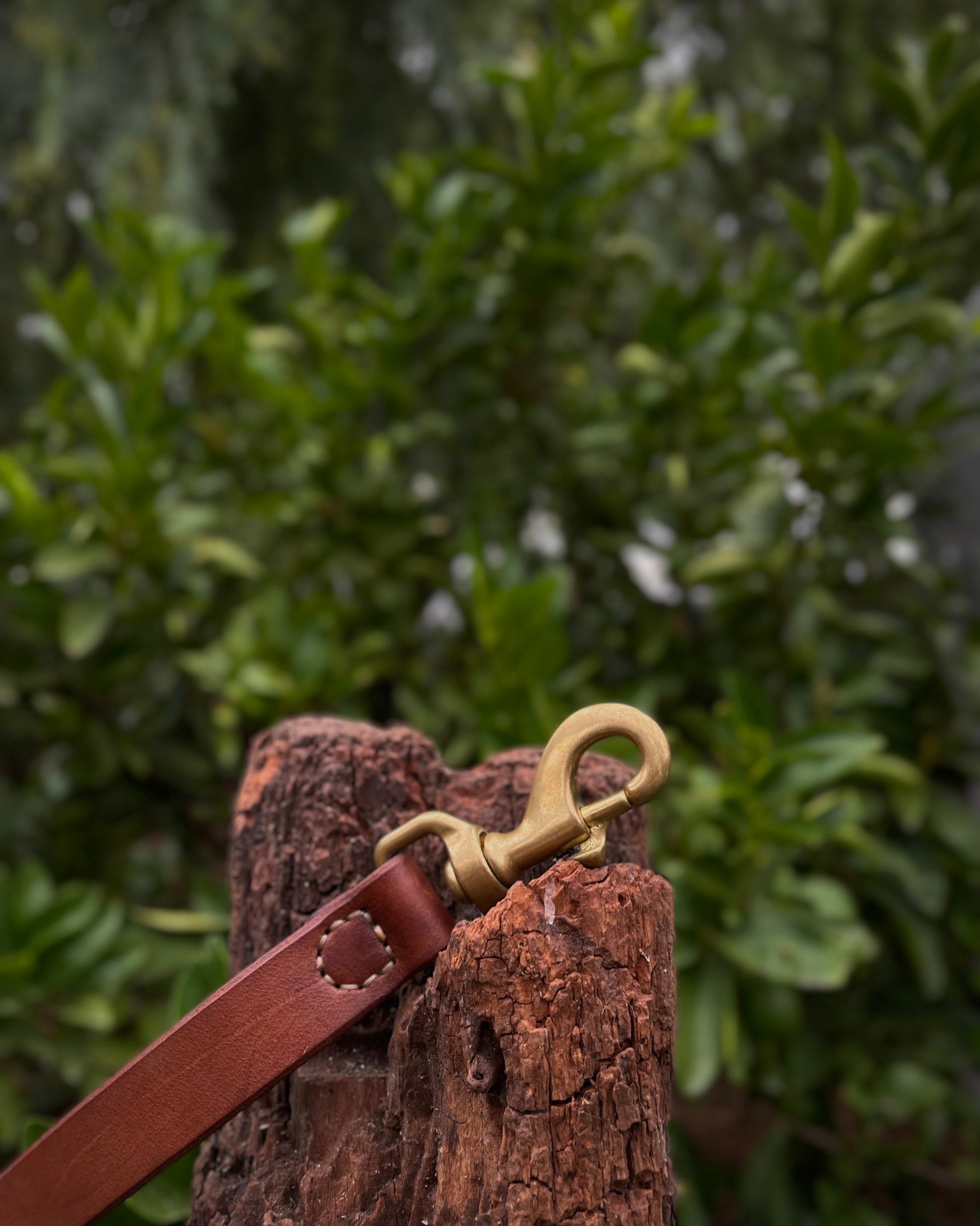 Brown leather dog leash with brass buckle on a wooden post against a green leafy background