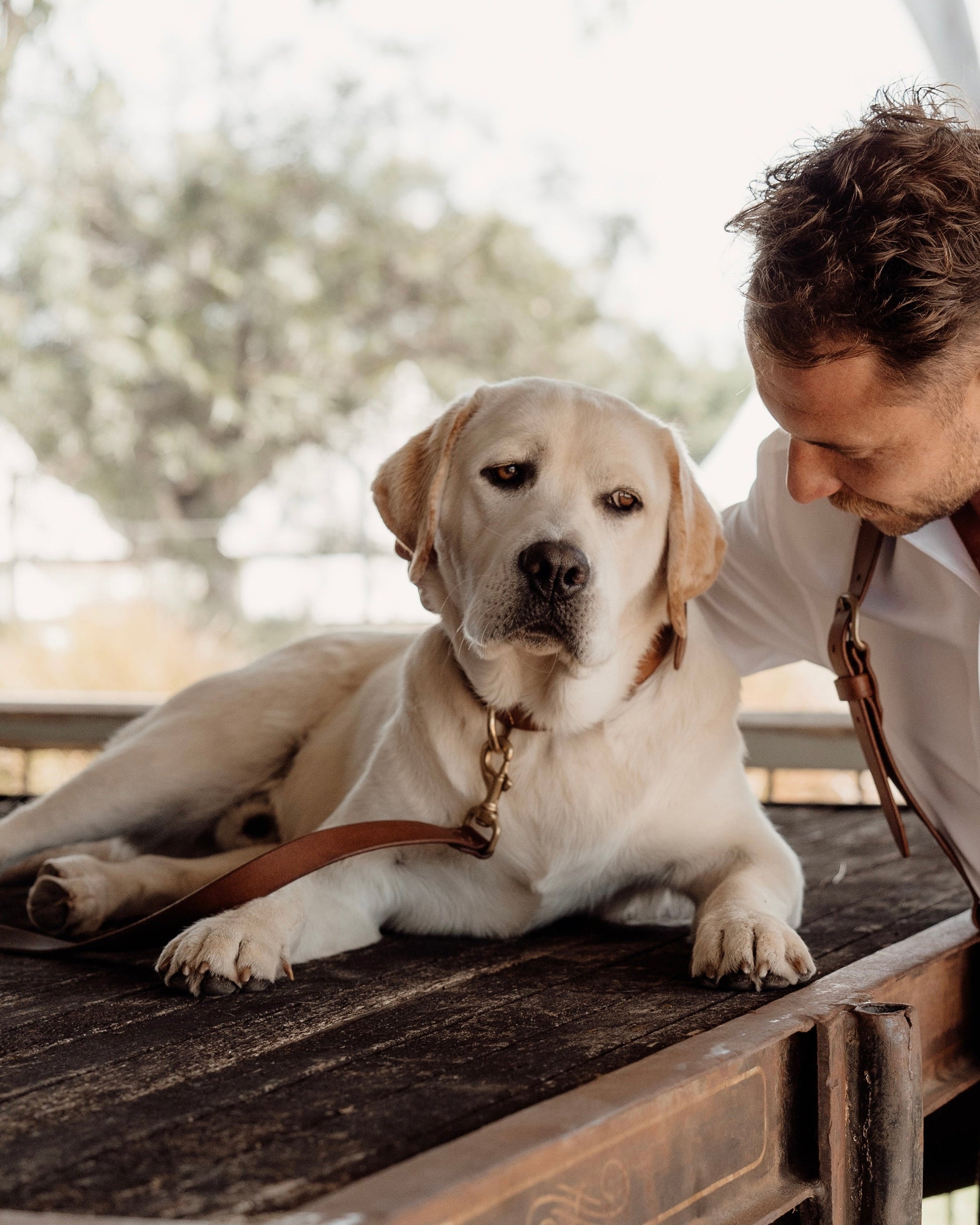 Man and dog sitting together on a wooden surface outdoors