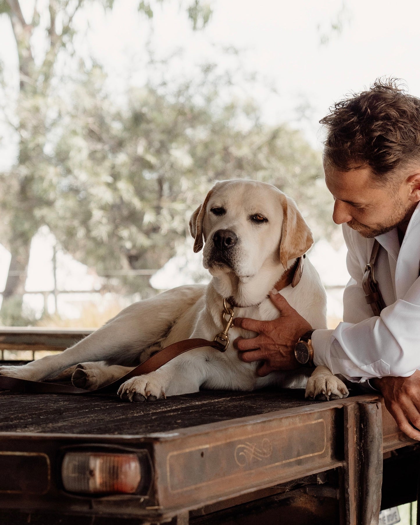 Man and dog sitting in the bed of a pickup truck outdoors